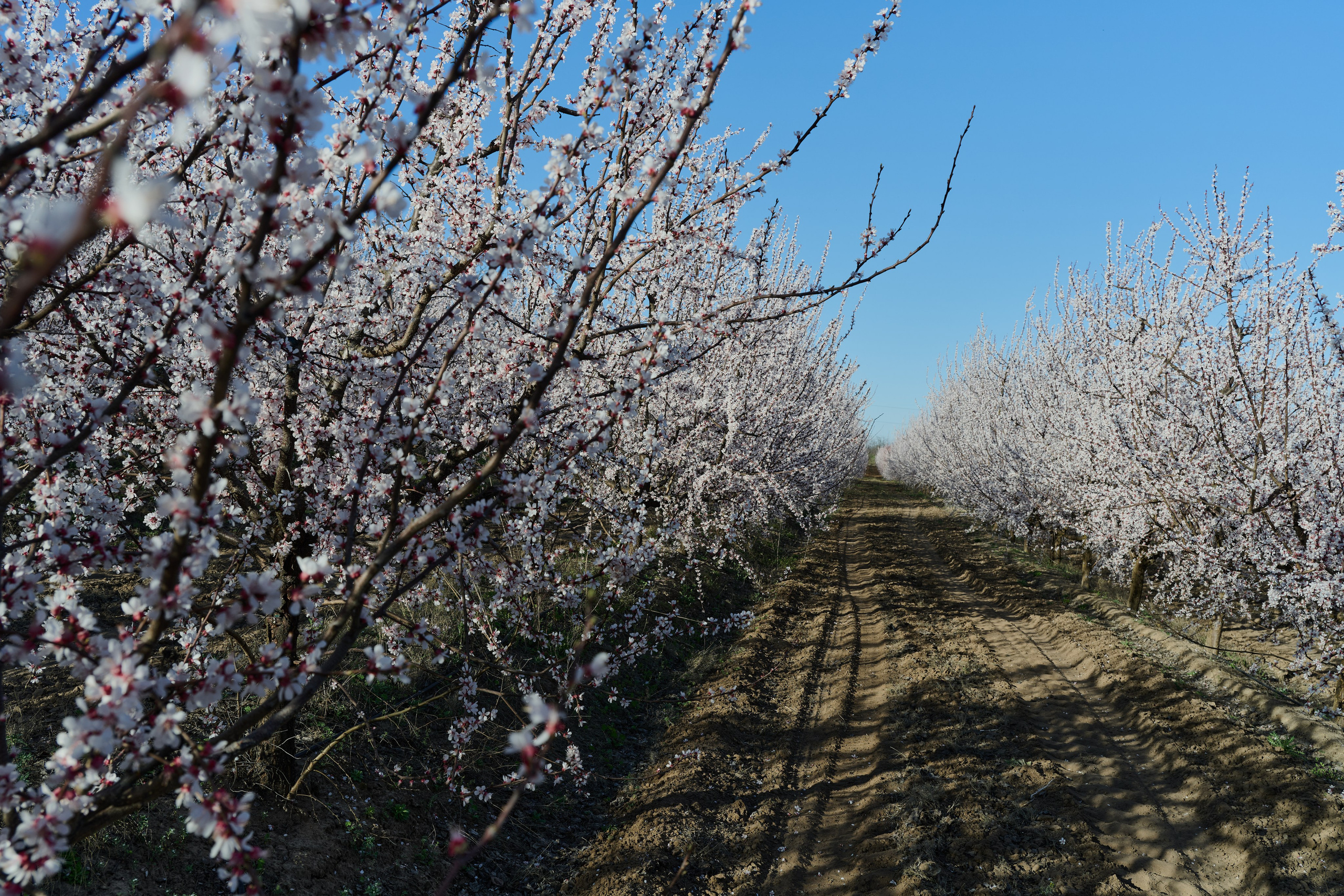 Мелитополь. Фотопроект «Территории»