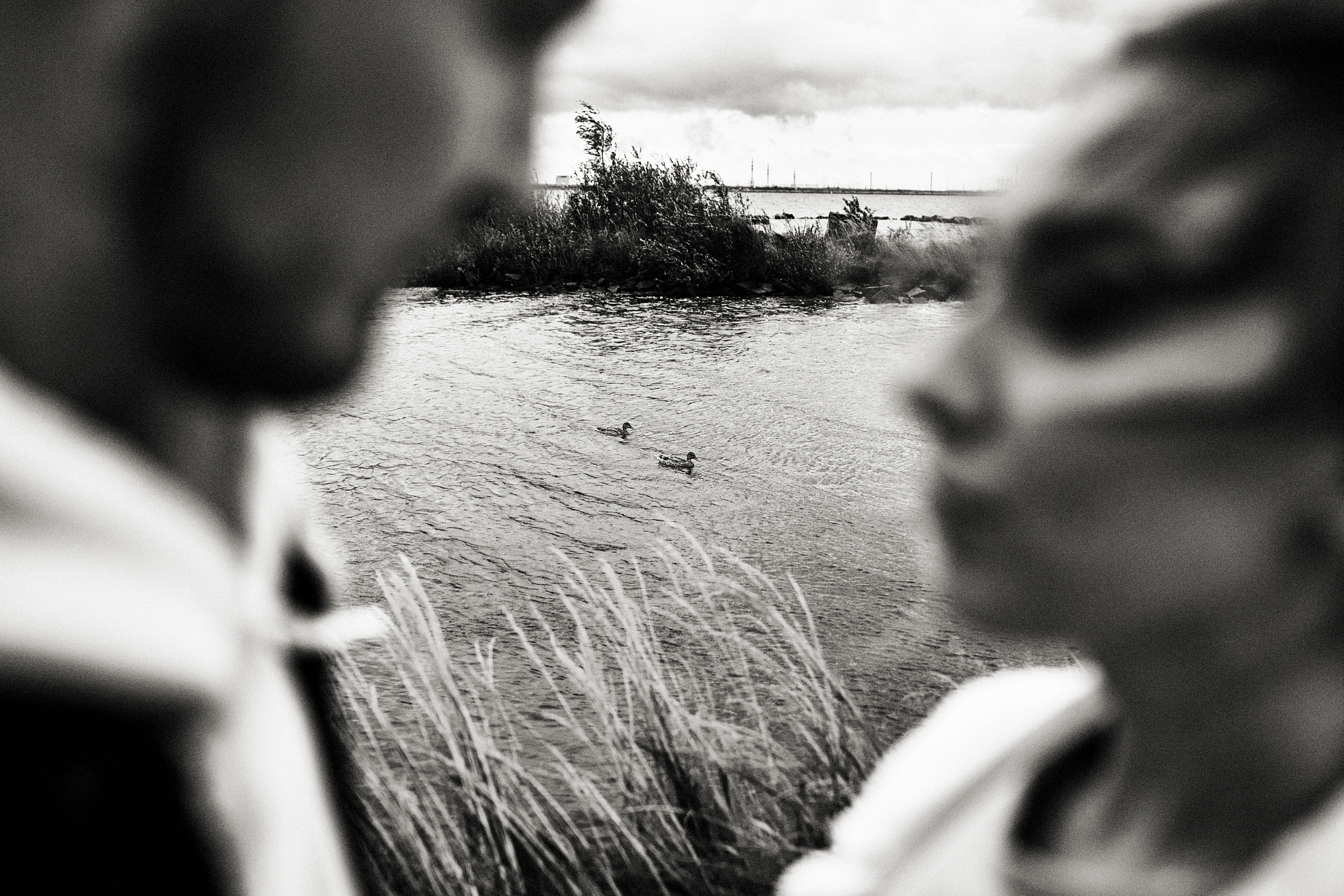 Игорь и Наталья