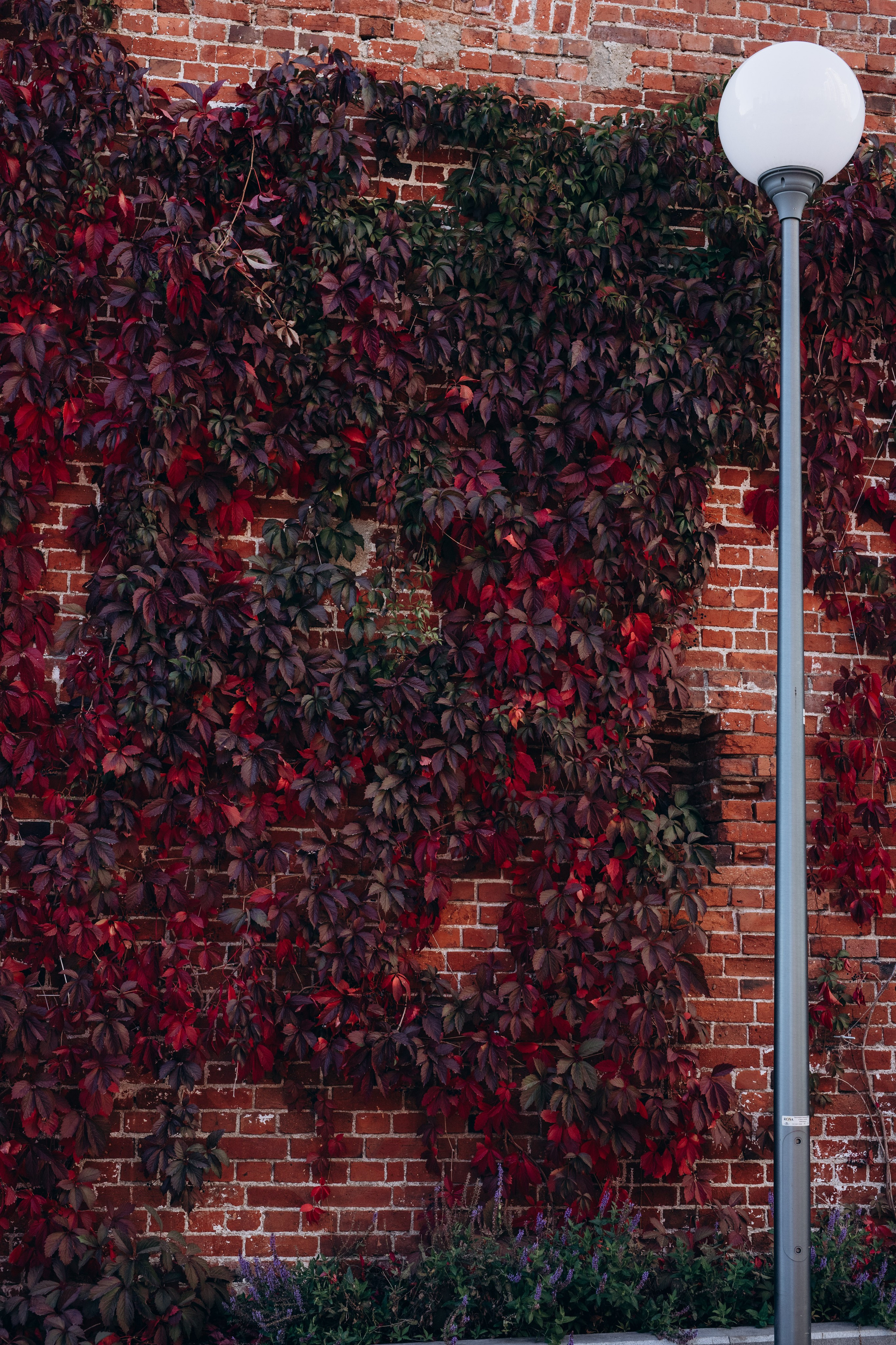 Семья Келлер. Фотограф Анастасия Петрова