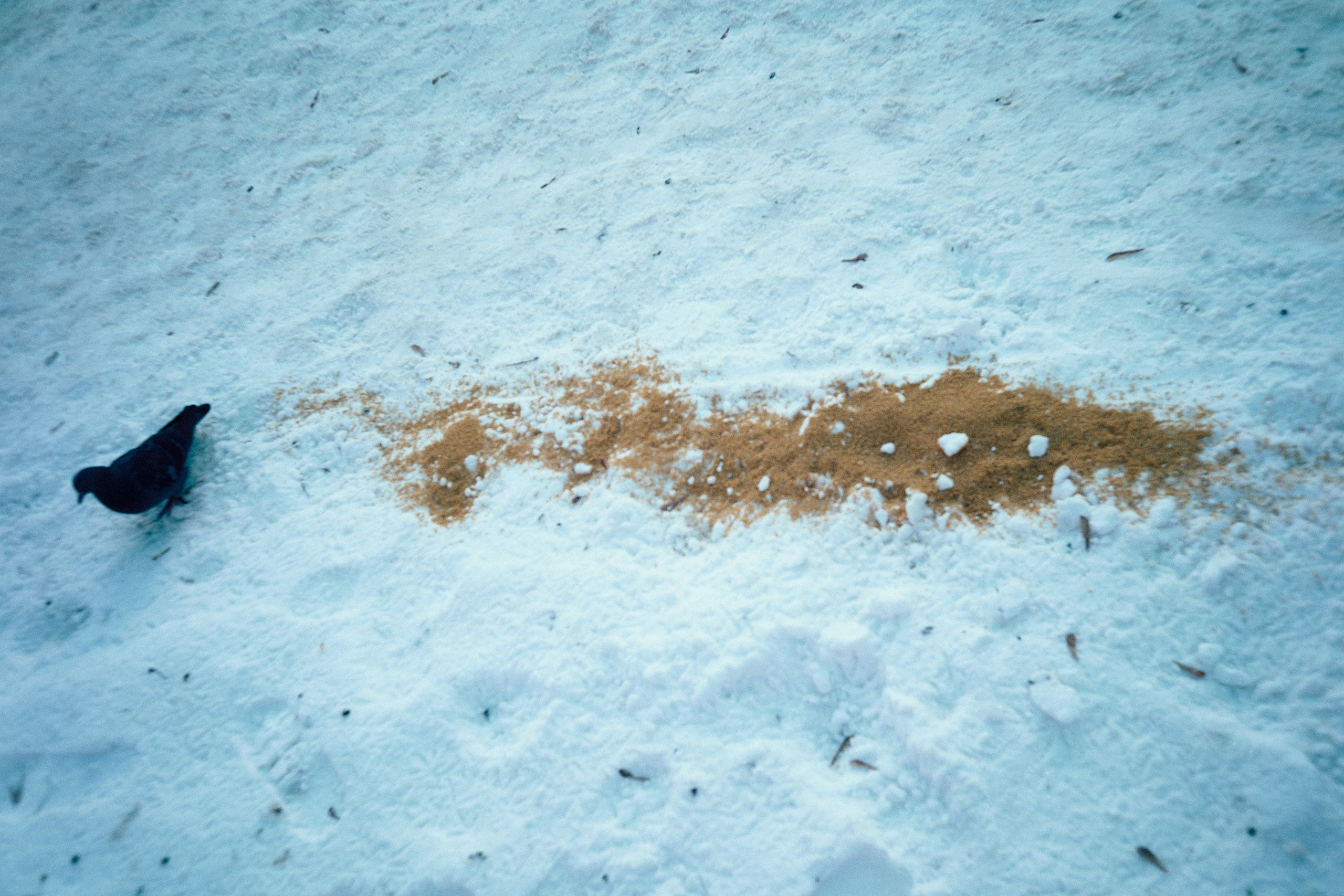 Преображенский рынок 24. Фотограф и оператор мероприятий, концертов и портретов в городе Москва