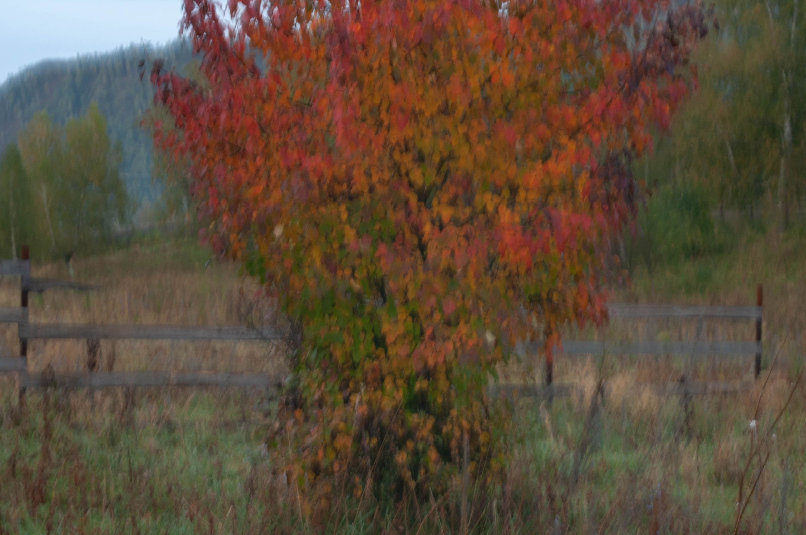 Пейзажи. Портретный фотограф в республике Алтай Юлия Шевченко