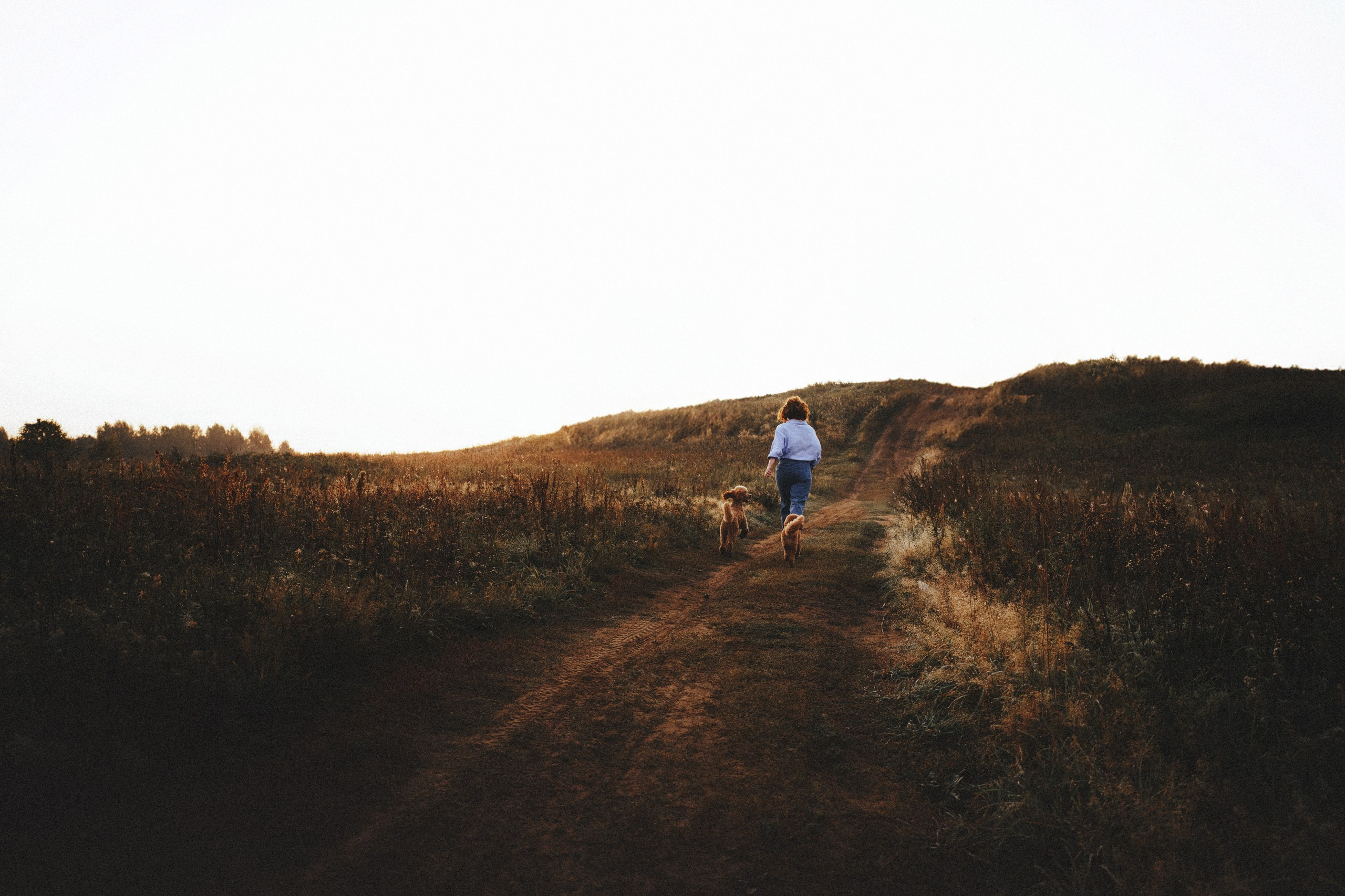 Юля, Кир и Цера. Фотограф анималист Осипчикова Мария