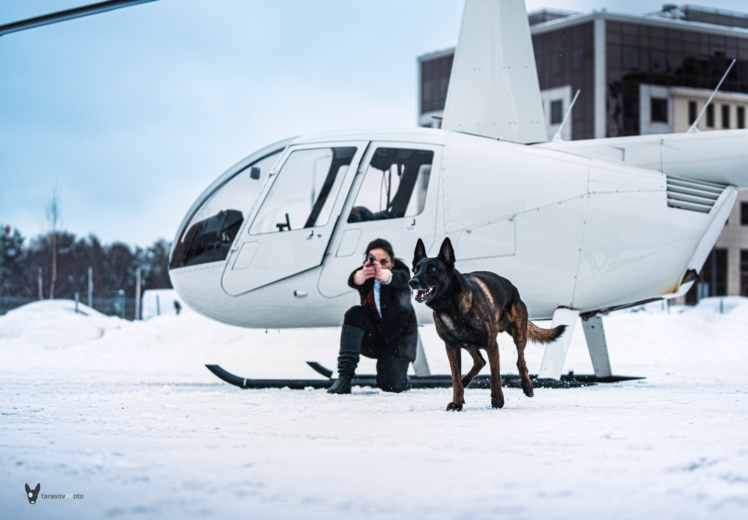 ФОТОПАМЯТЬ ВАШИХ ЭМОЦИЙ. Фотограф-анималист, семейный фотограф в Москве и Подмосковье. Фотосъёмка кинологических дисциплин