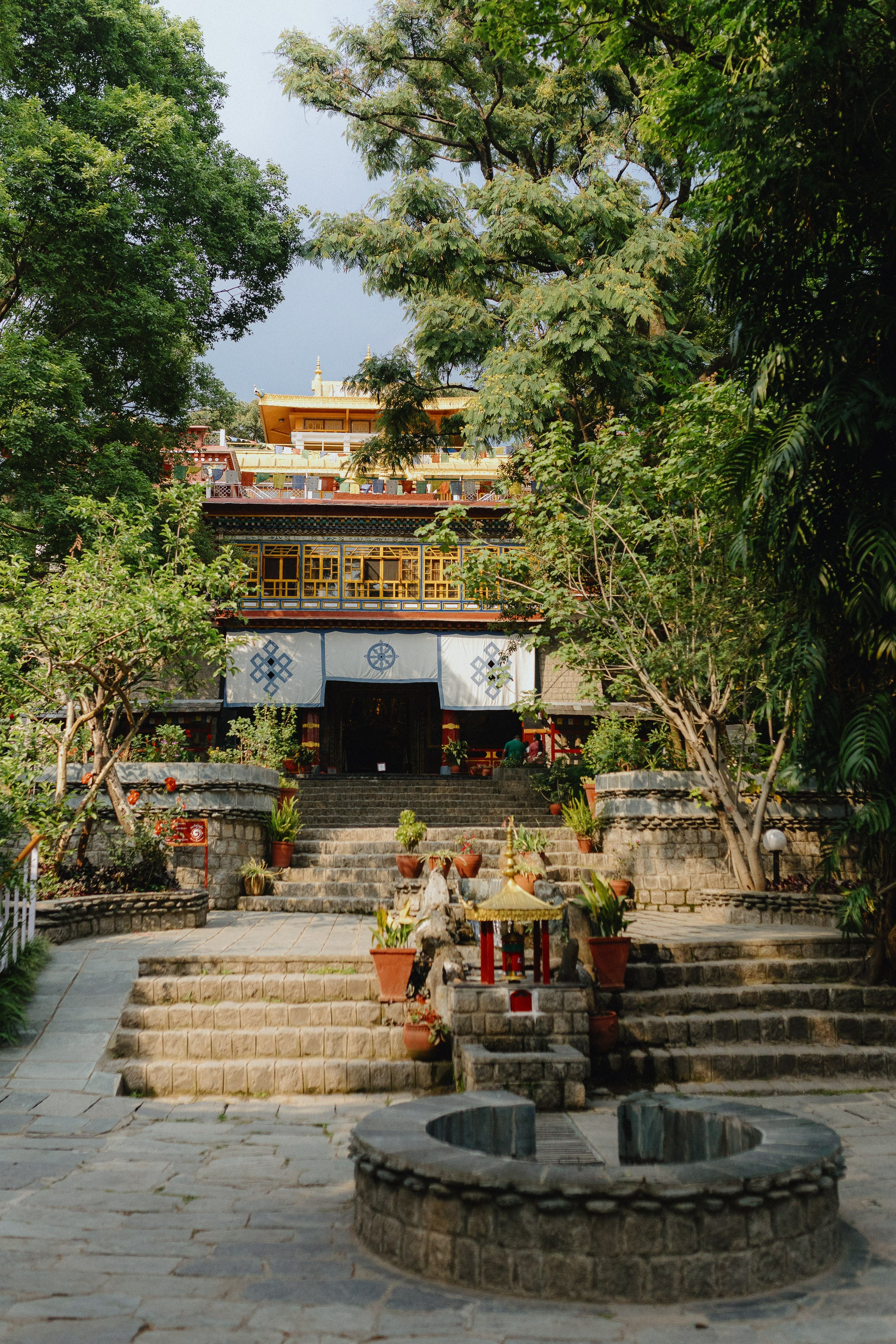 Экскурсия в резиденцию Далай Ламы с Косом и Лу. Фотограф Ольхон/ Индия, Регина
