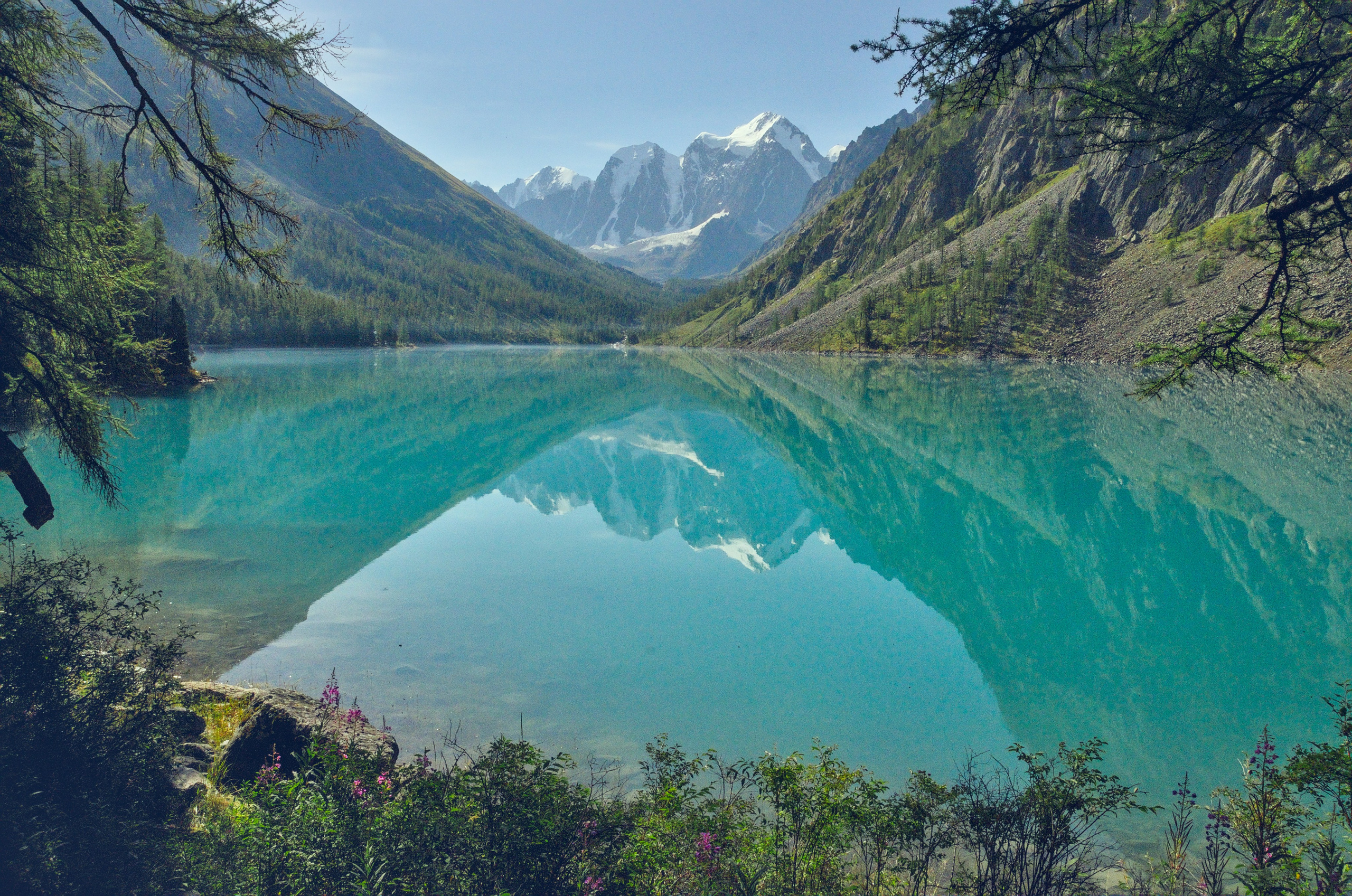 Алтай. Фотограф анималист, пейзажист, спортивные мероприятия. Новосибирск