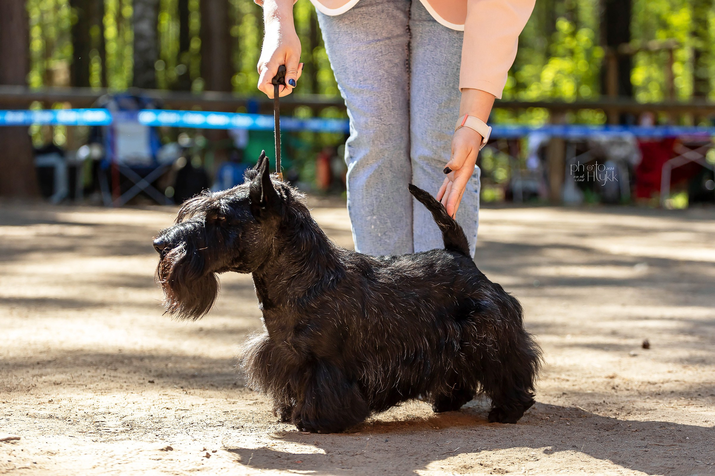 2 июня 2024, Выставка РКФ, г. Пермь. Htykk_photo