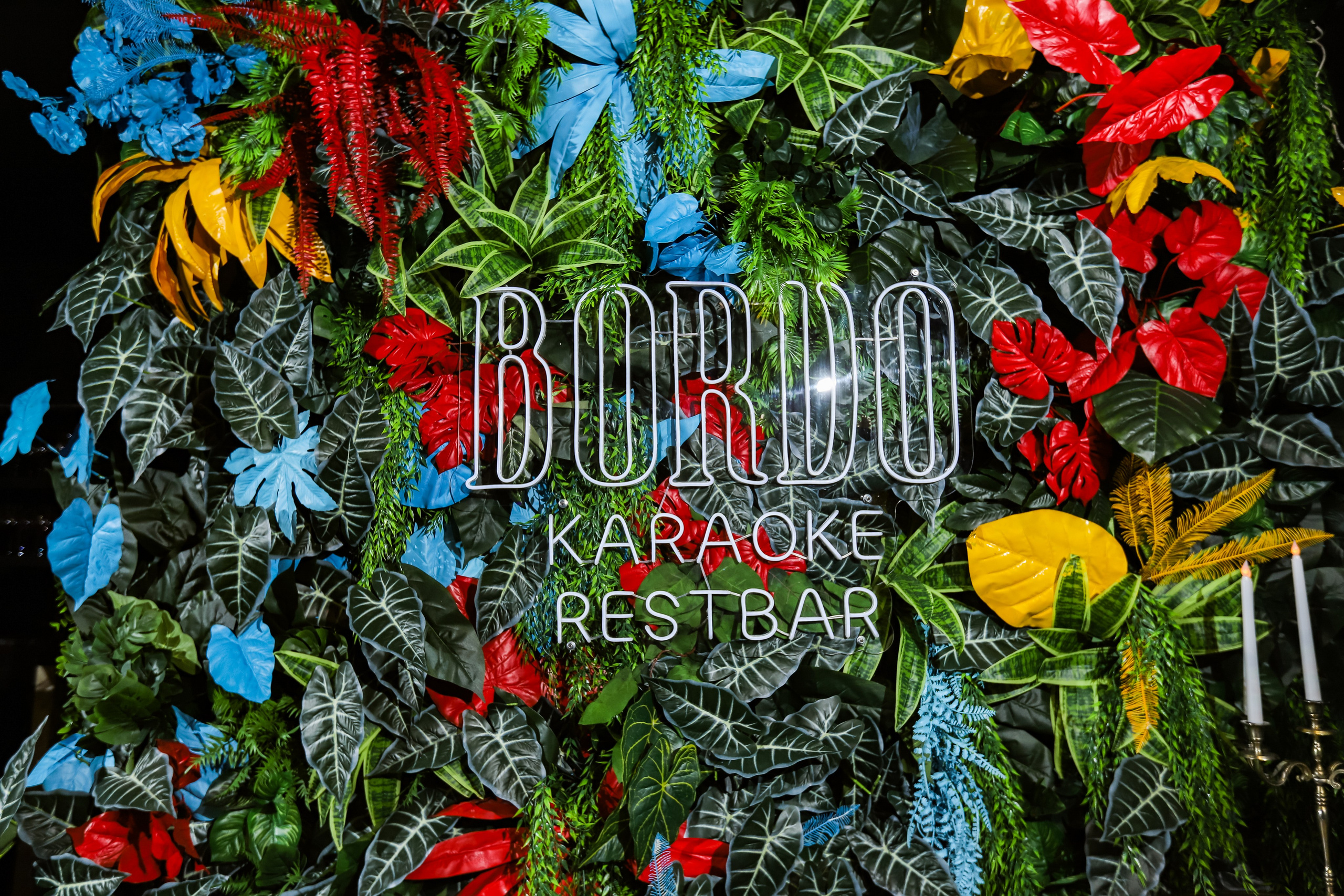 BORDO. Фотограф в Краснодаре Анна Светикова