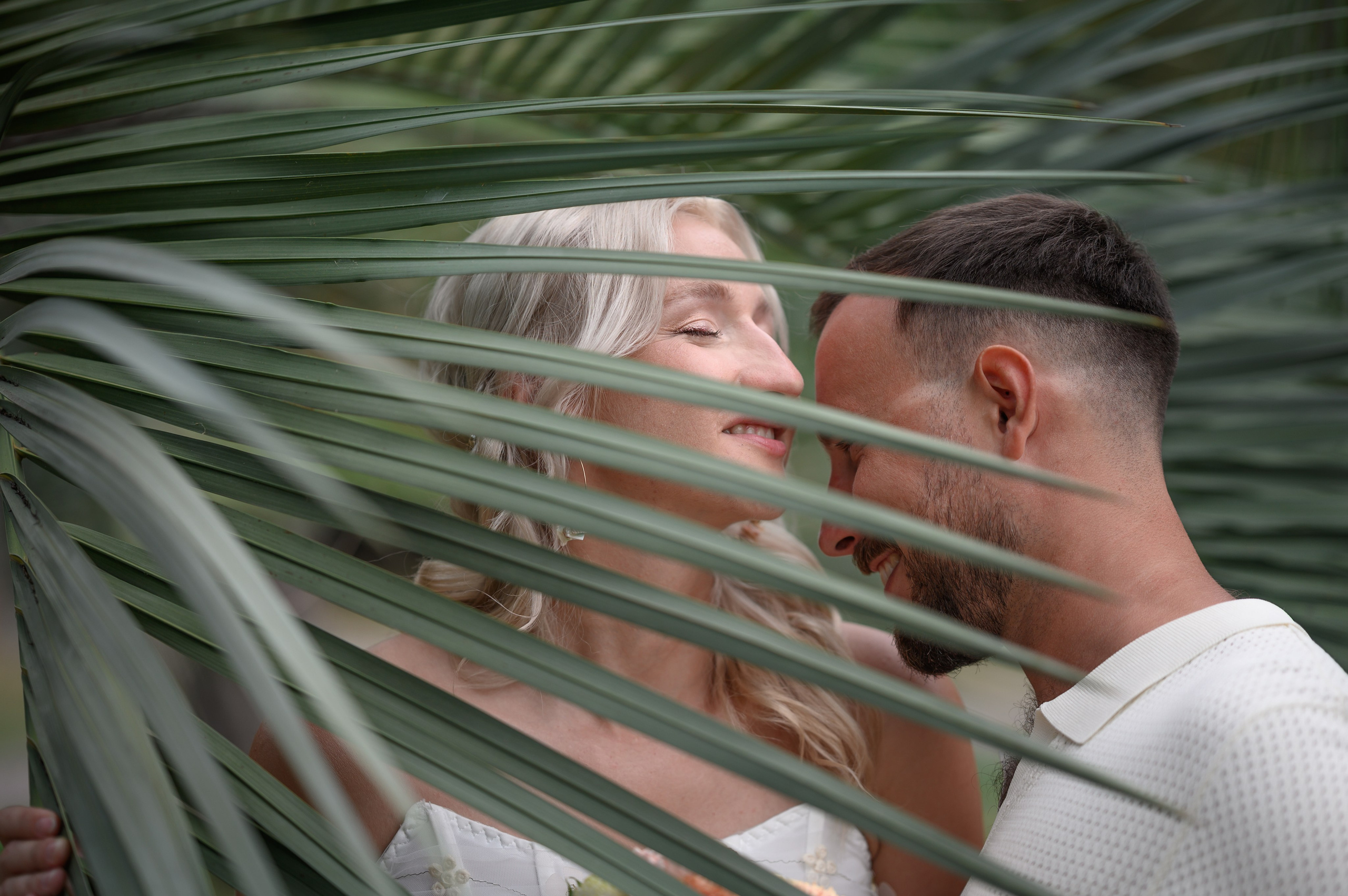 Свадьбы. Главная