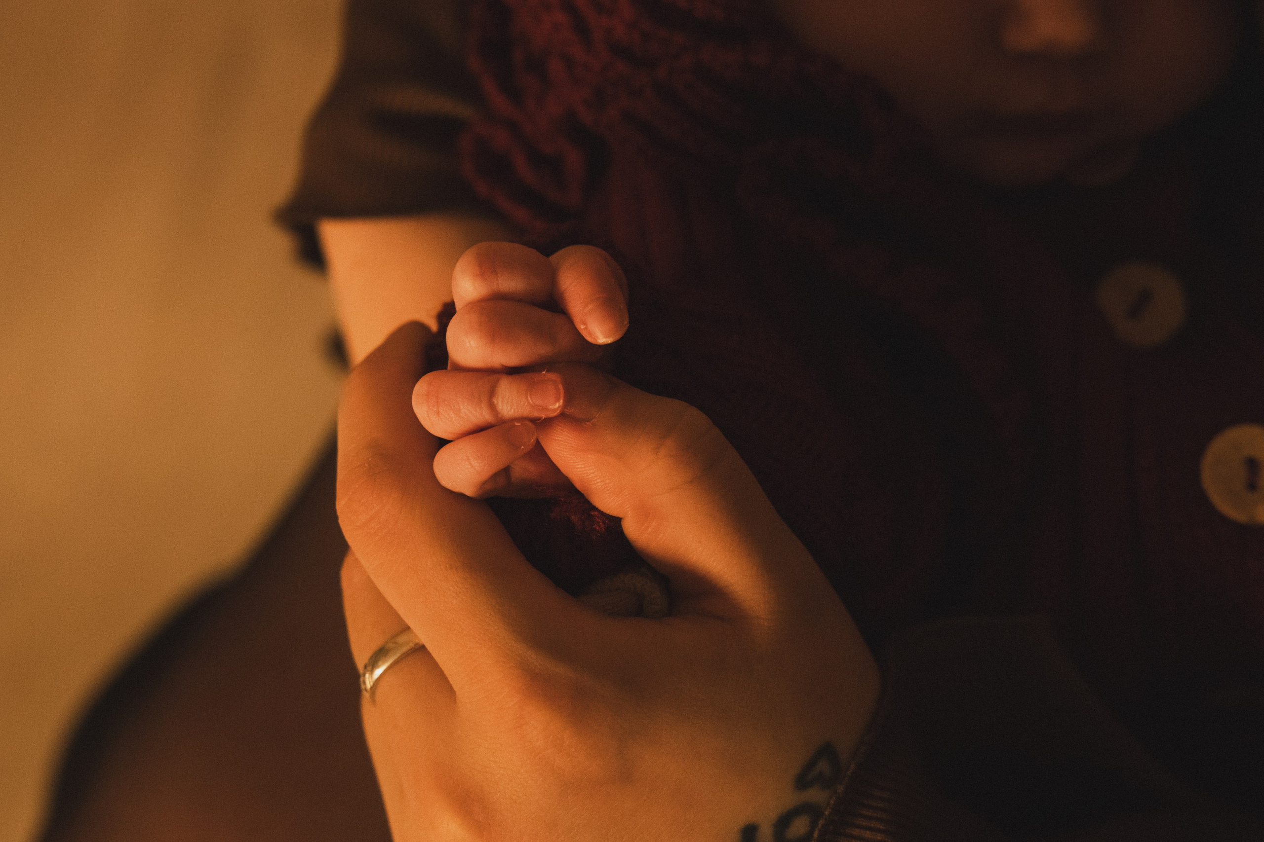 26.12.2025. Олег Минайлов — Фотограф ваших событий