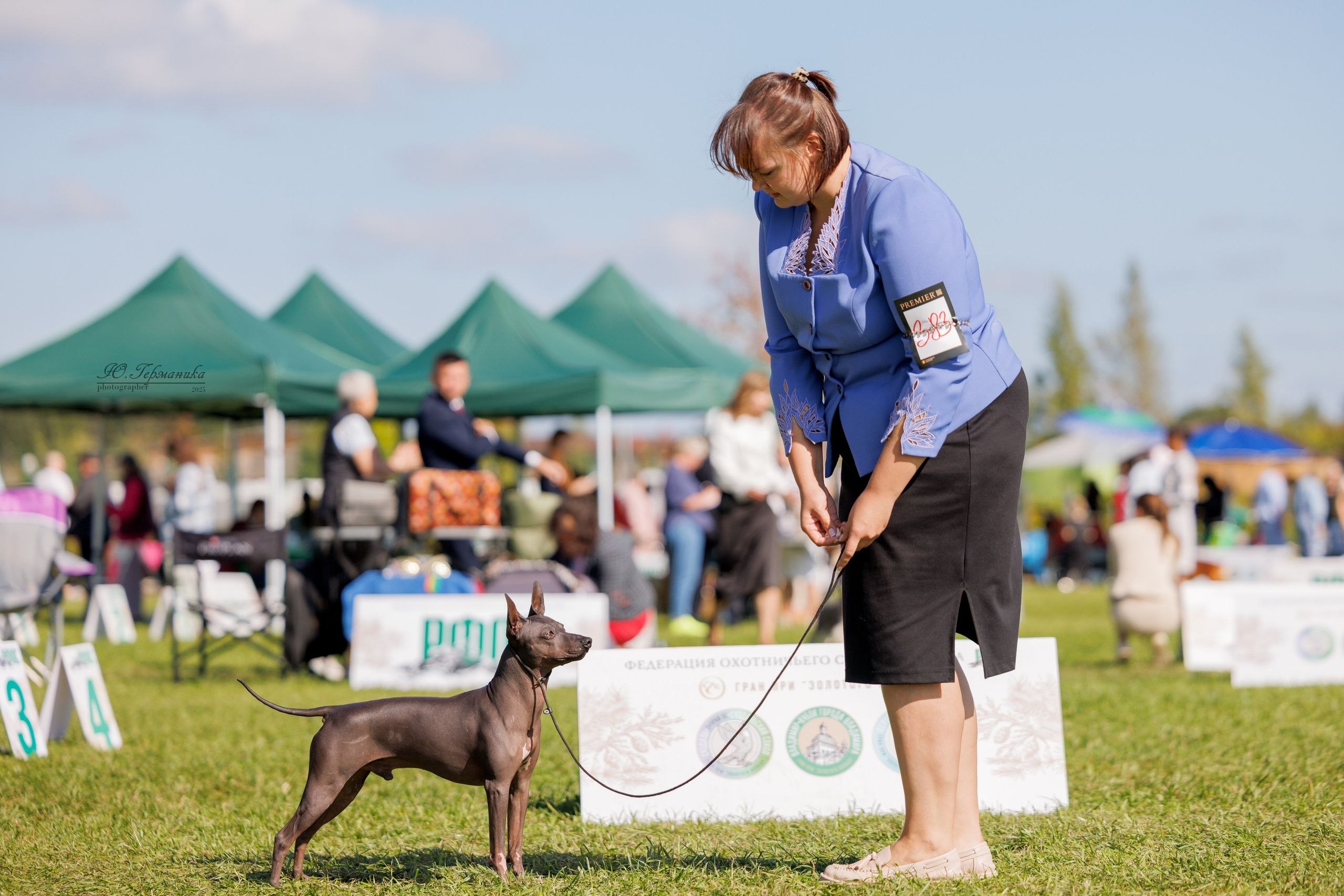 Переславль 5-7.08.2025. Фотограф-анималист Юлия Германика