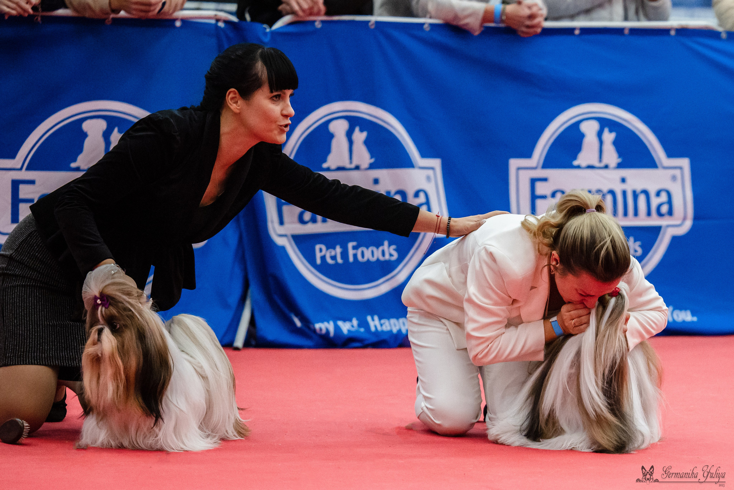 Нижний Новгород 21-22.10.2023. Фотограф-анималист Юлия Германика