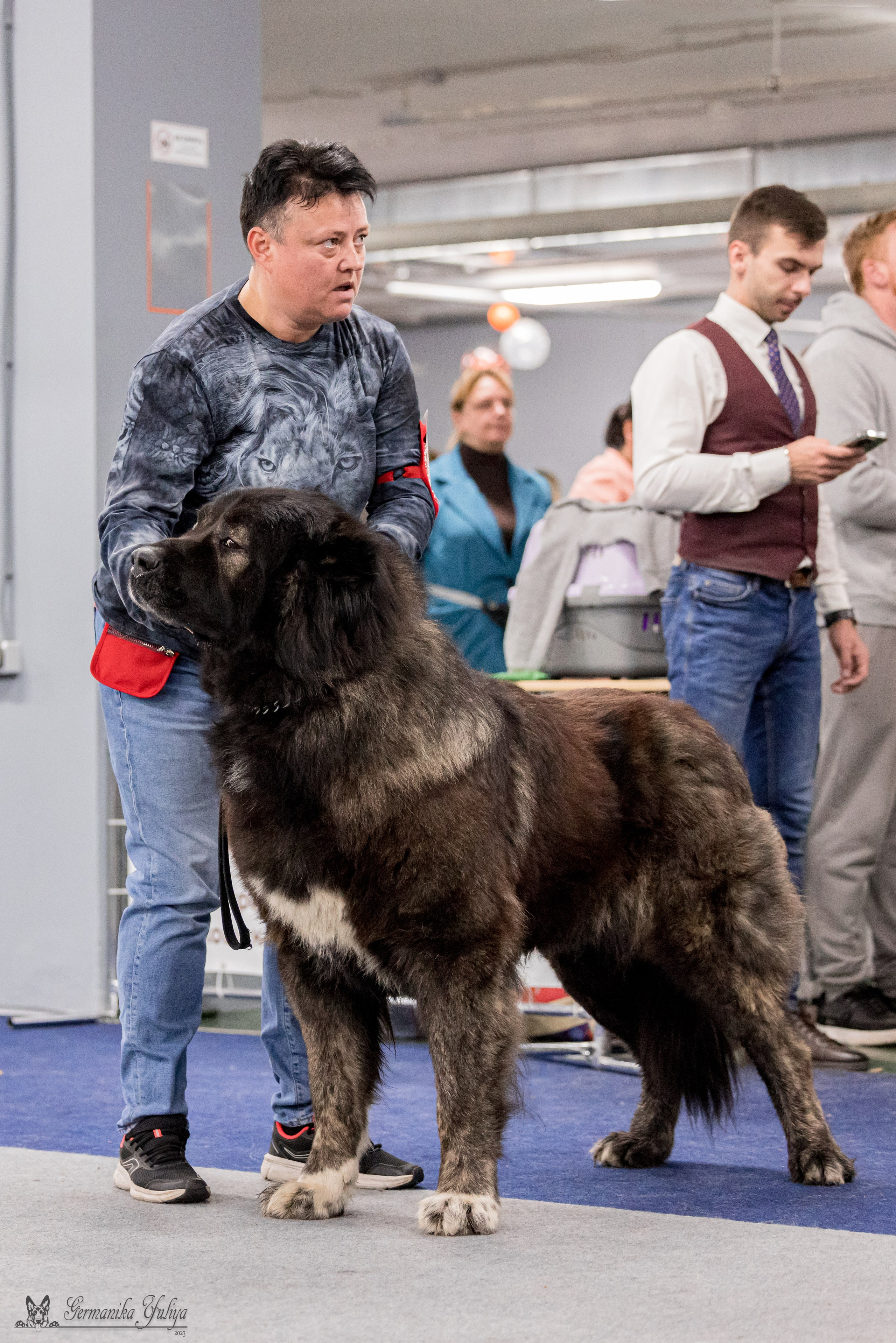 Сфера 29.10,Крокус 4.11,Сфера 12.11.2023. Фотограф-анималист Юлия Германика