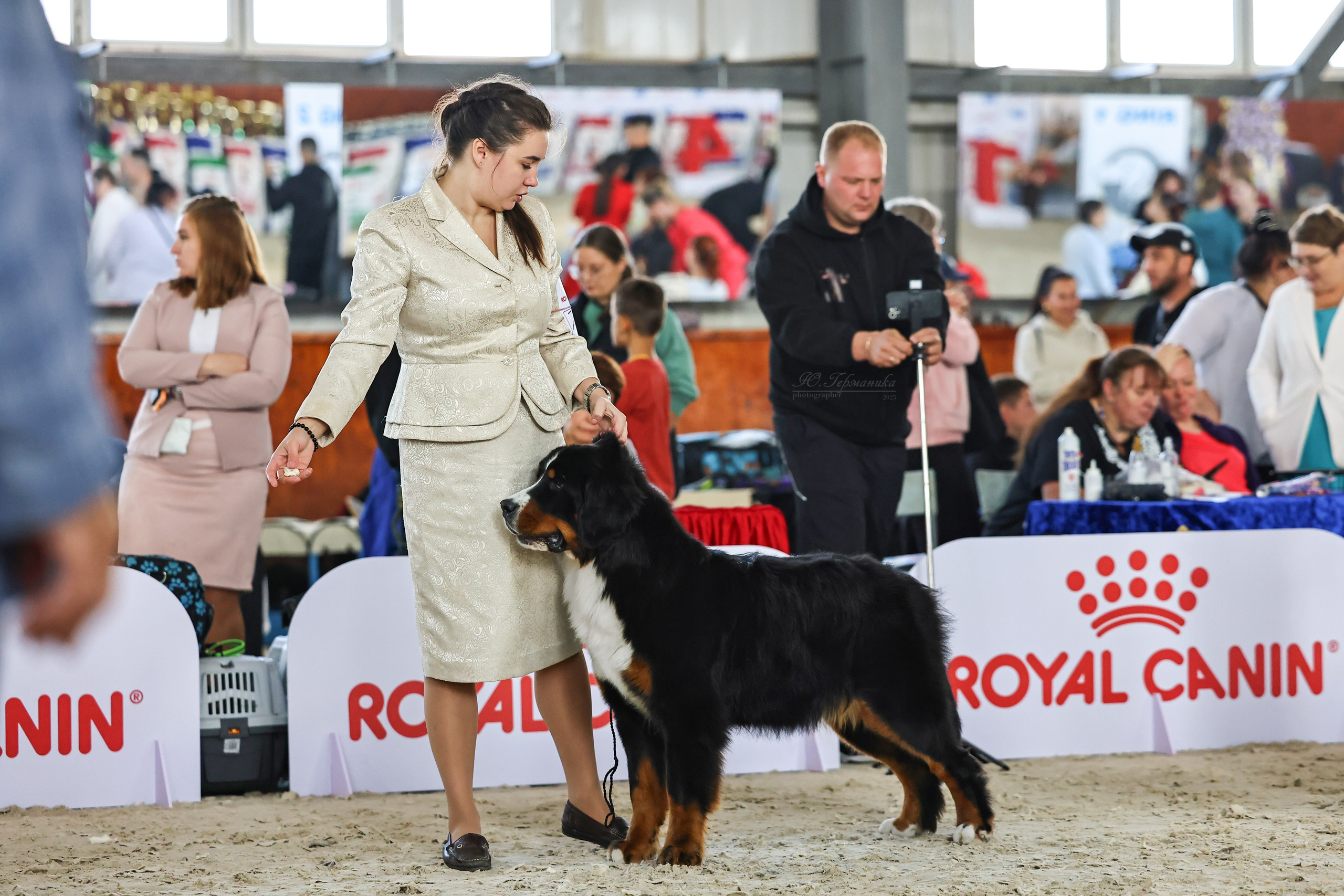 Астана 2хCACIB 26-28.09.2025. Фотограф-анималист Юлия Германика