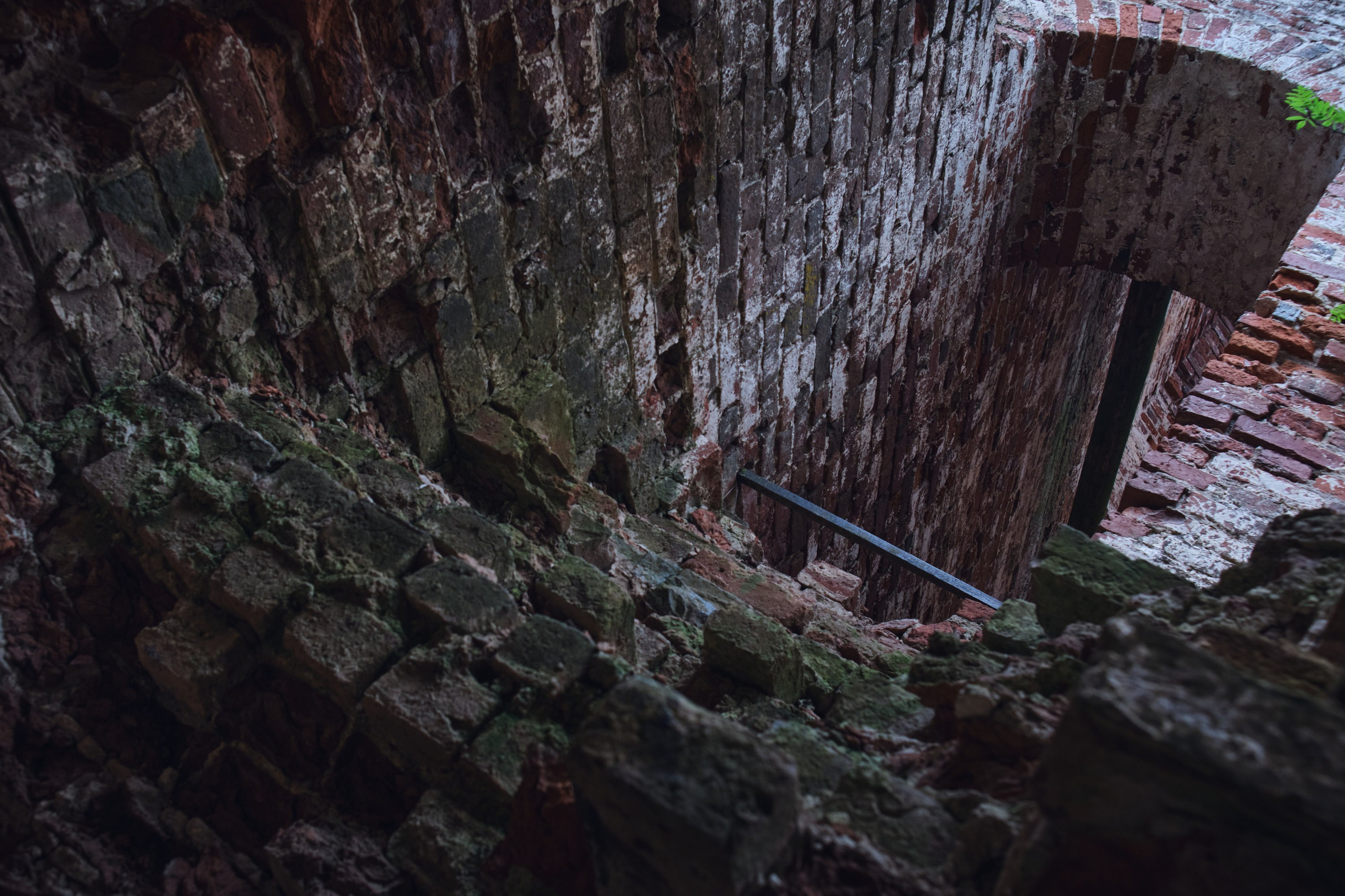 Русский север: путешествие по Карелии, Архангельской и Вологодской областям