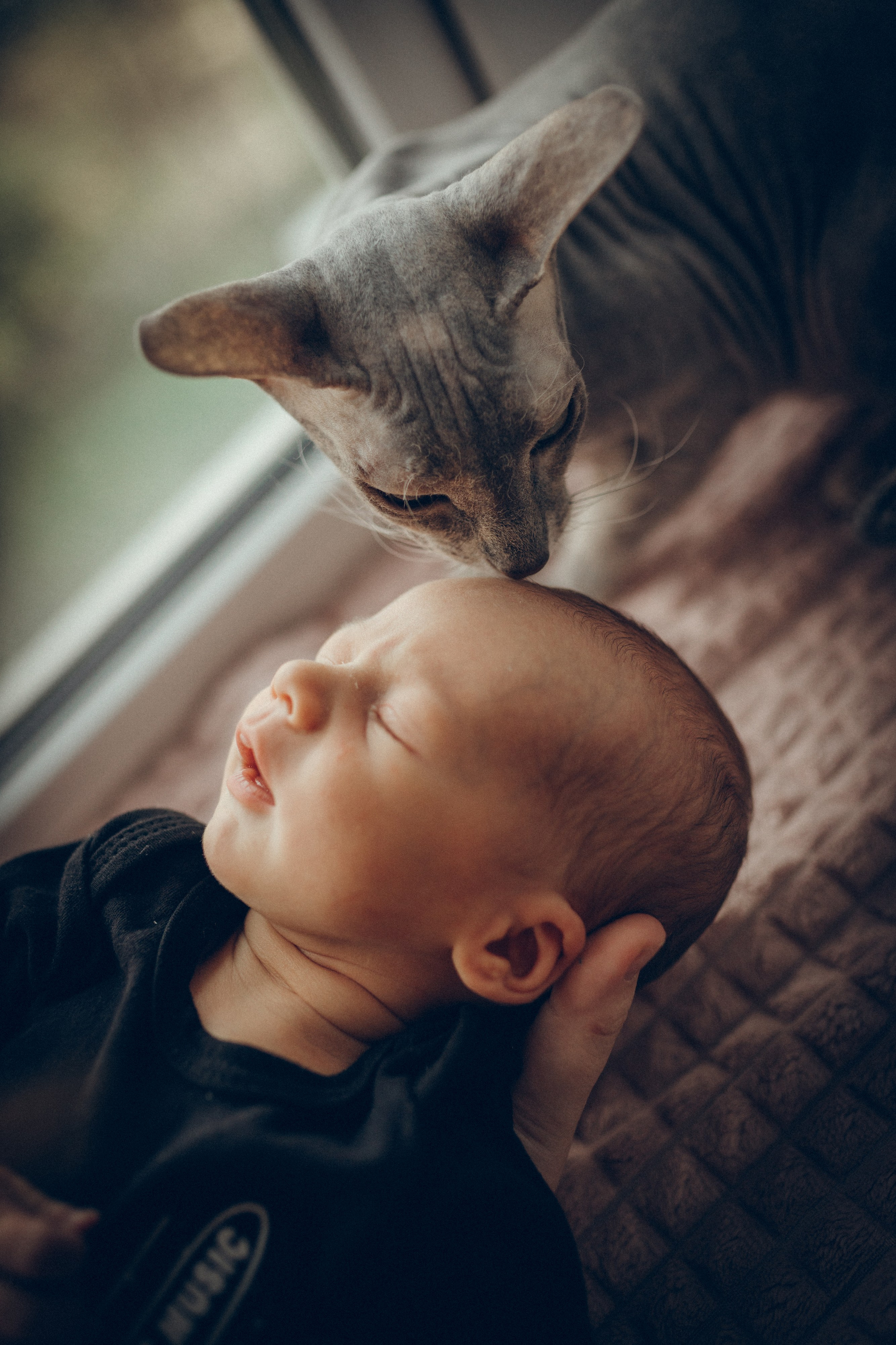 Света, Женя, Кирилл и Мышка. Семейный фотограф и фотограф на роды в Ростове-на-Дону Мухина Виктория
