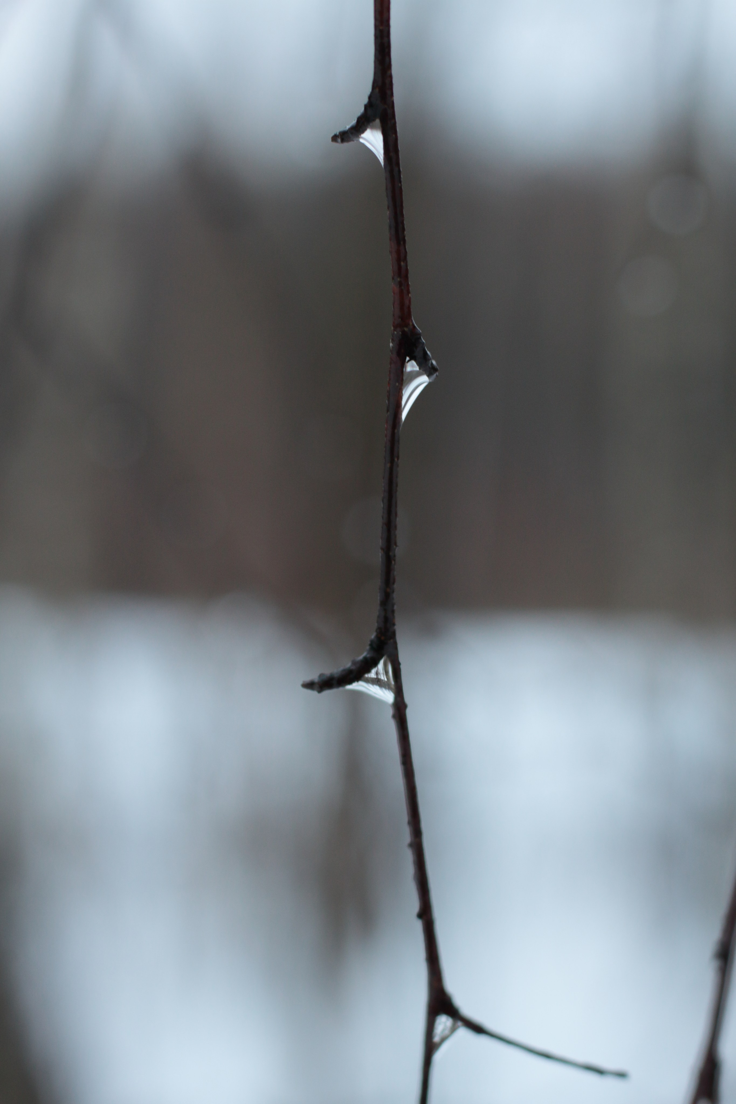 Старое природное, отбирала Katamount (Катерина Горохова). Главная