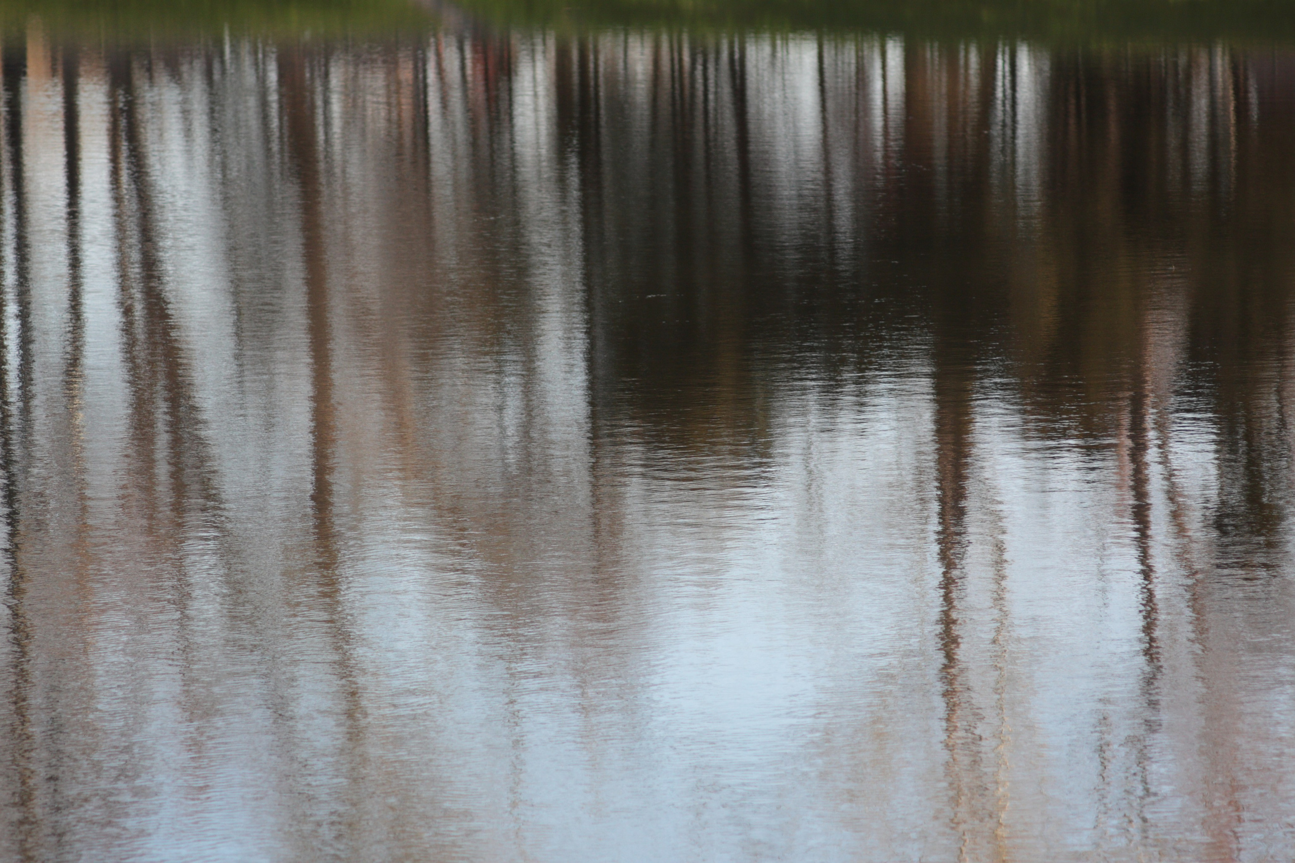 Старое природное, отбирала Katamount (Катерина Горохова). Главная