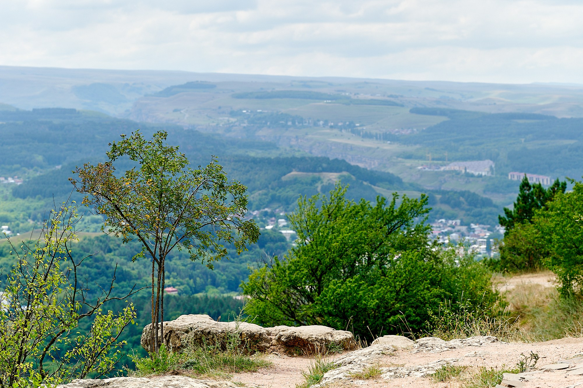 Кисловодск, Россия. Август 2024. Фотографии отовсюду и обо всем