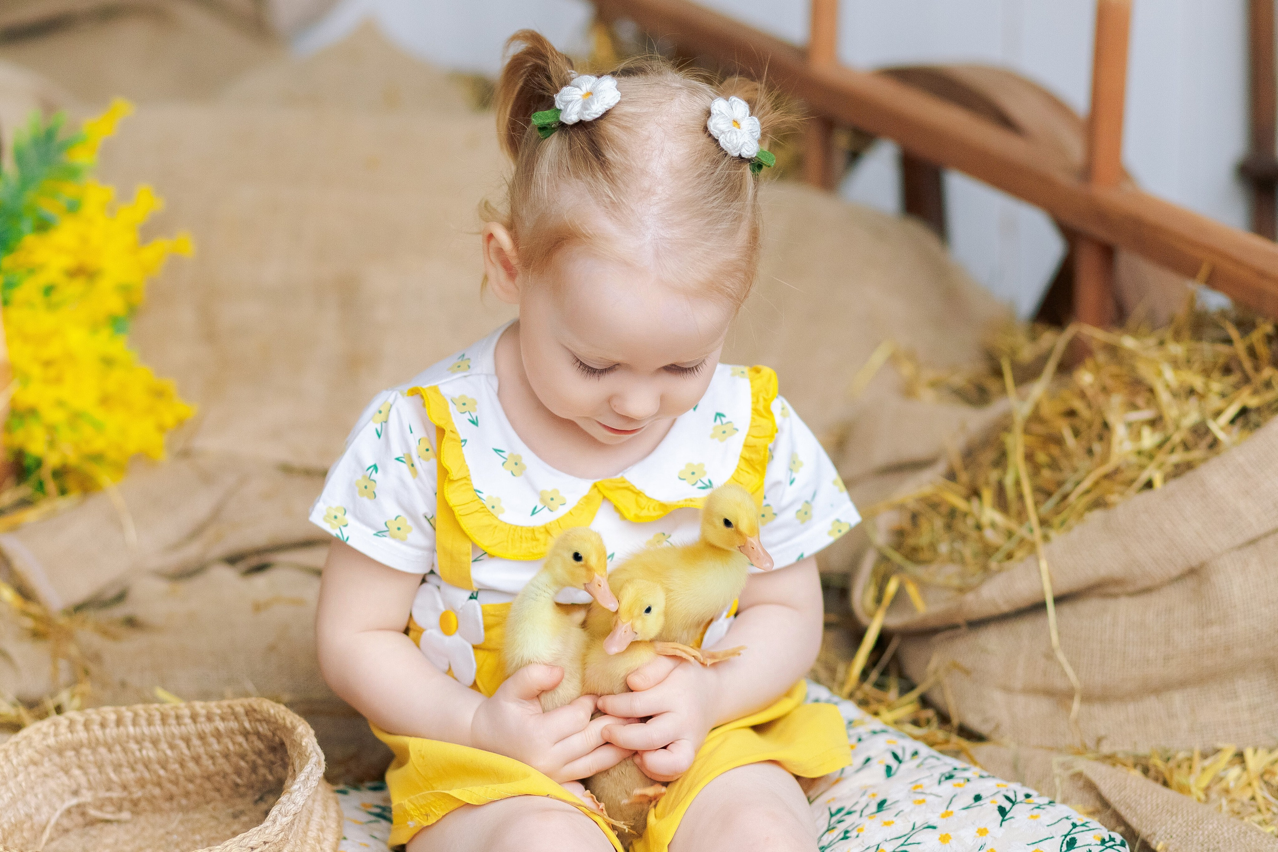 Пасхальная фотосессия с утятами в студии. Семейный фотограф Анна Скворцова