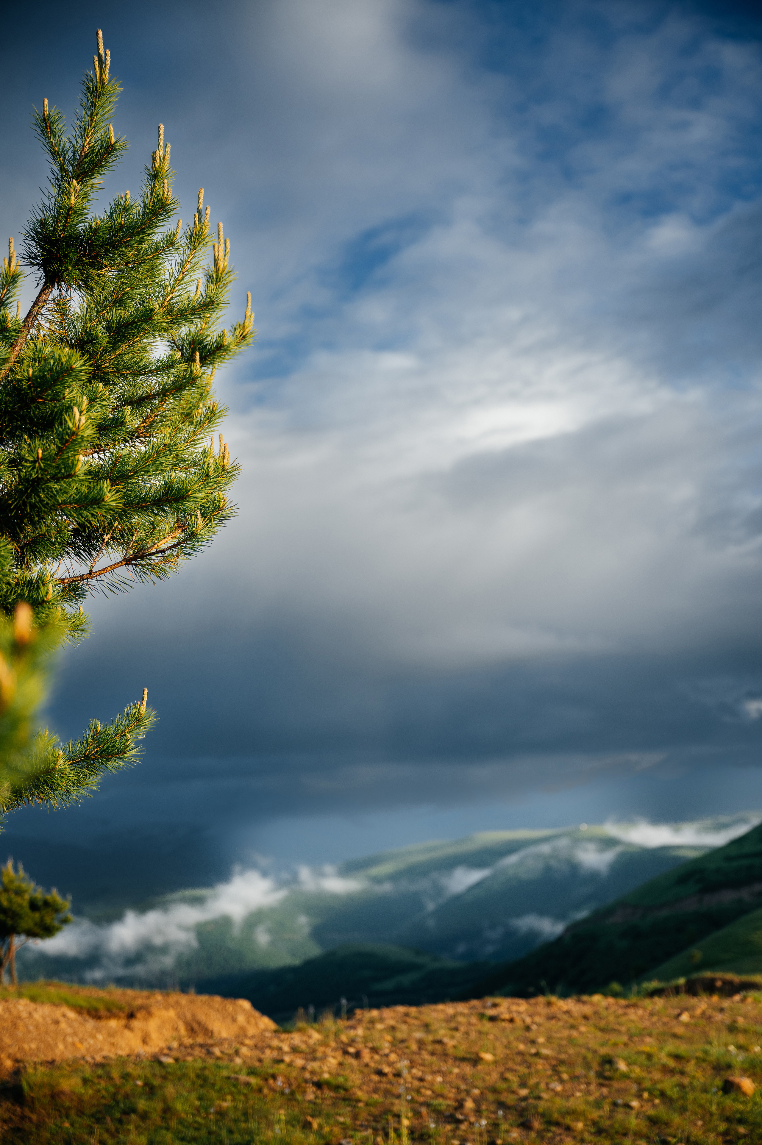 Above the clouds. Wedding photographer in Moscow and around the world Andrey Medvednikov