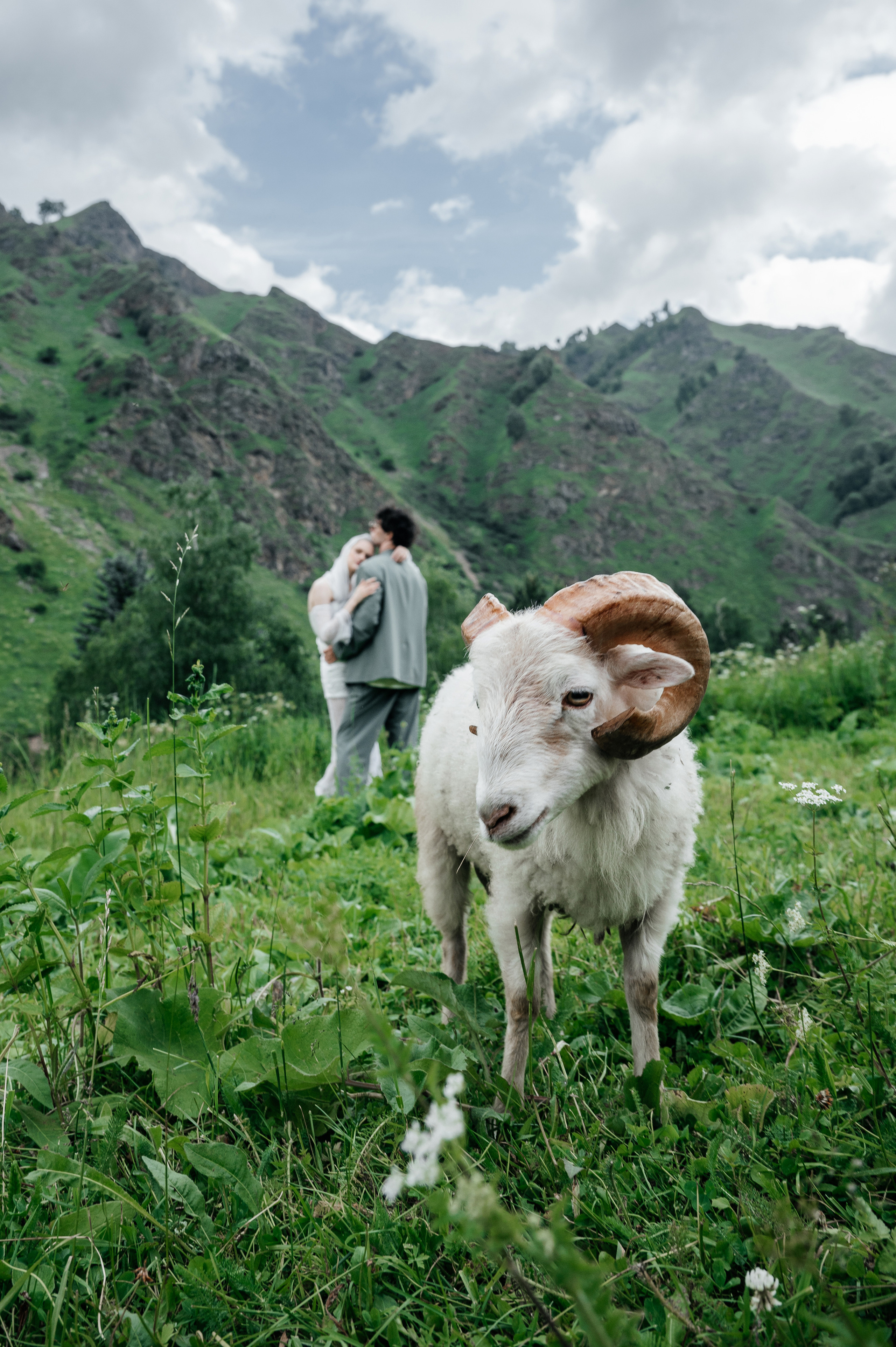 Above the clouds. Wedding photographer in Moscow and around the world Andrey Medvednikov