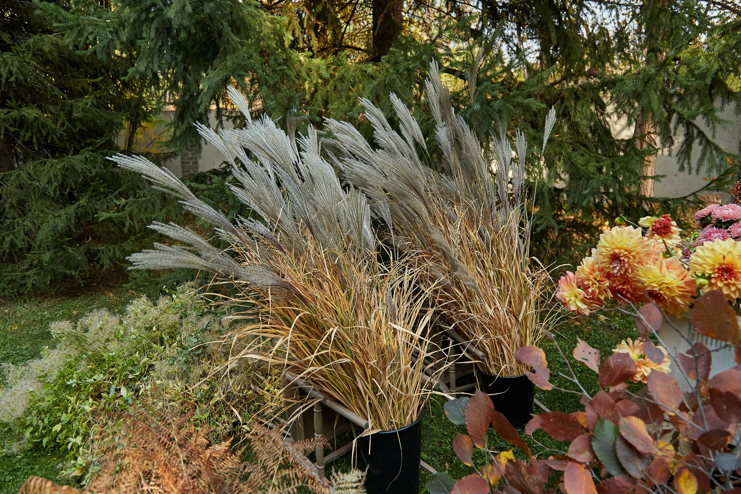 Ирина и мастер класс по декорации. Фотограф Барнаул Фатыхов Тимур