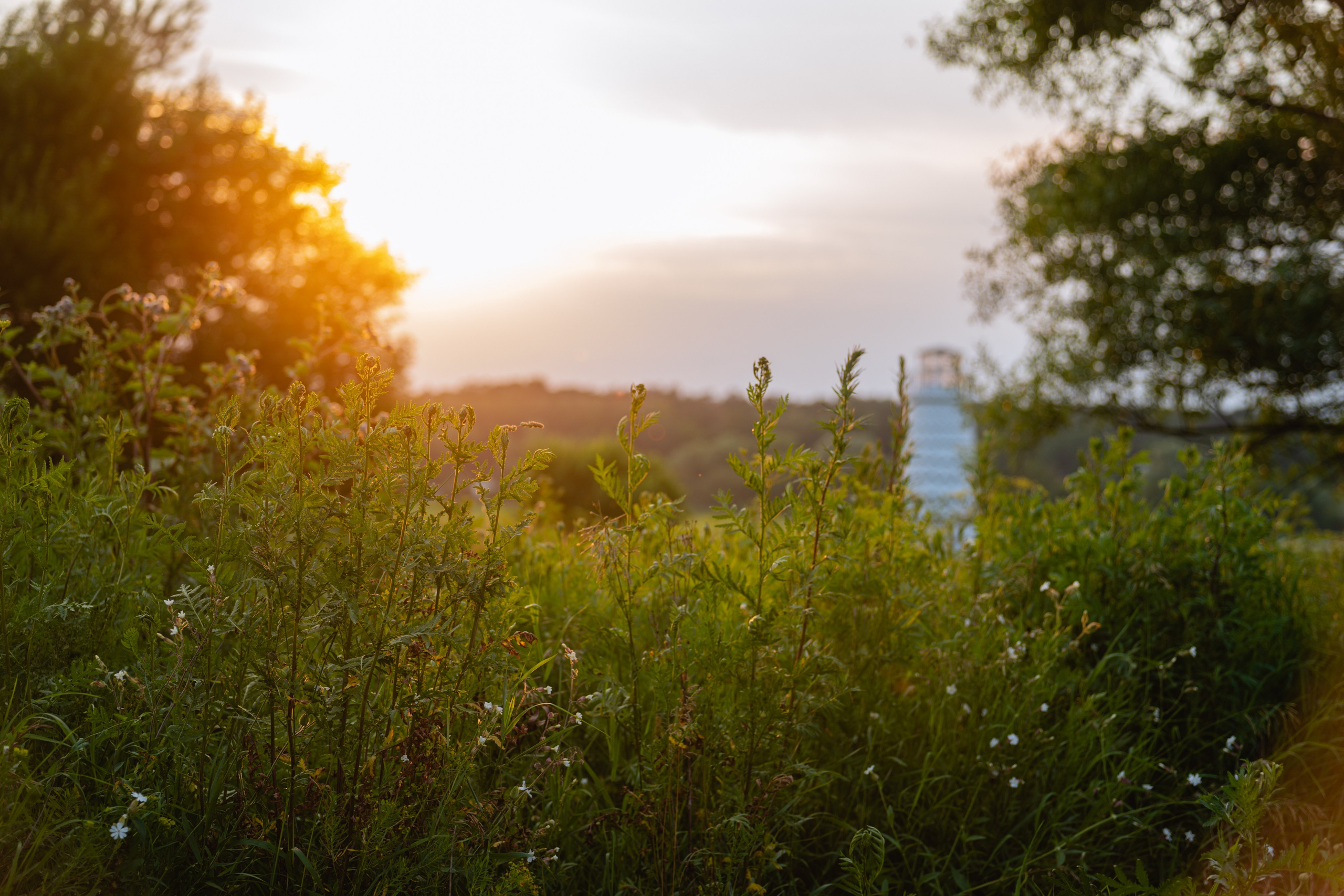 Летние смены. Владислав Кожух | Фотограф | Видеограф | Режиссёр