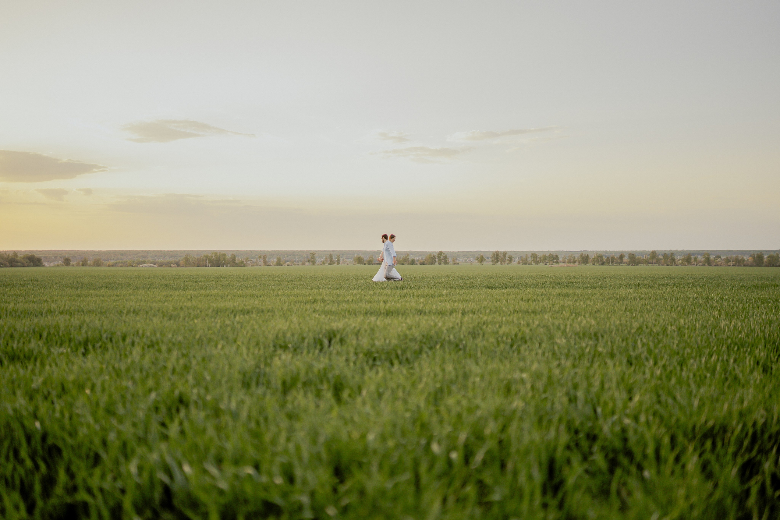 Поле. Фотограф Мария Зайчик