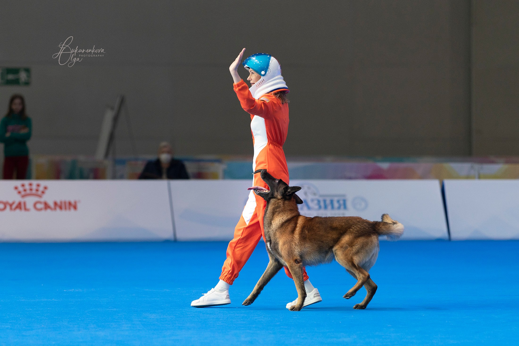 Танцы. Фотограф анималист Ольга Луканенкова в Москве