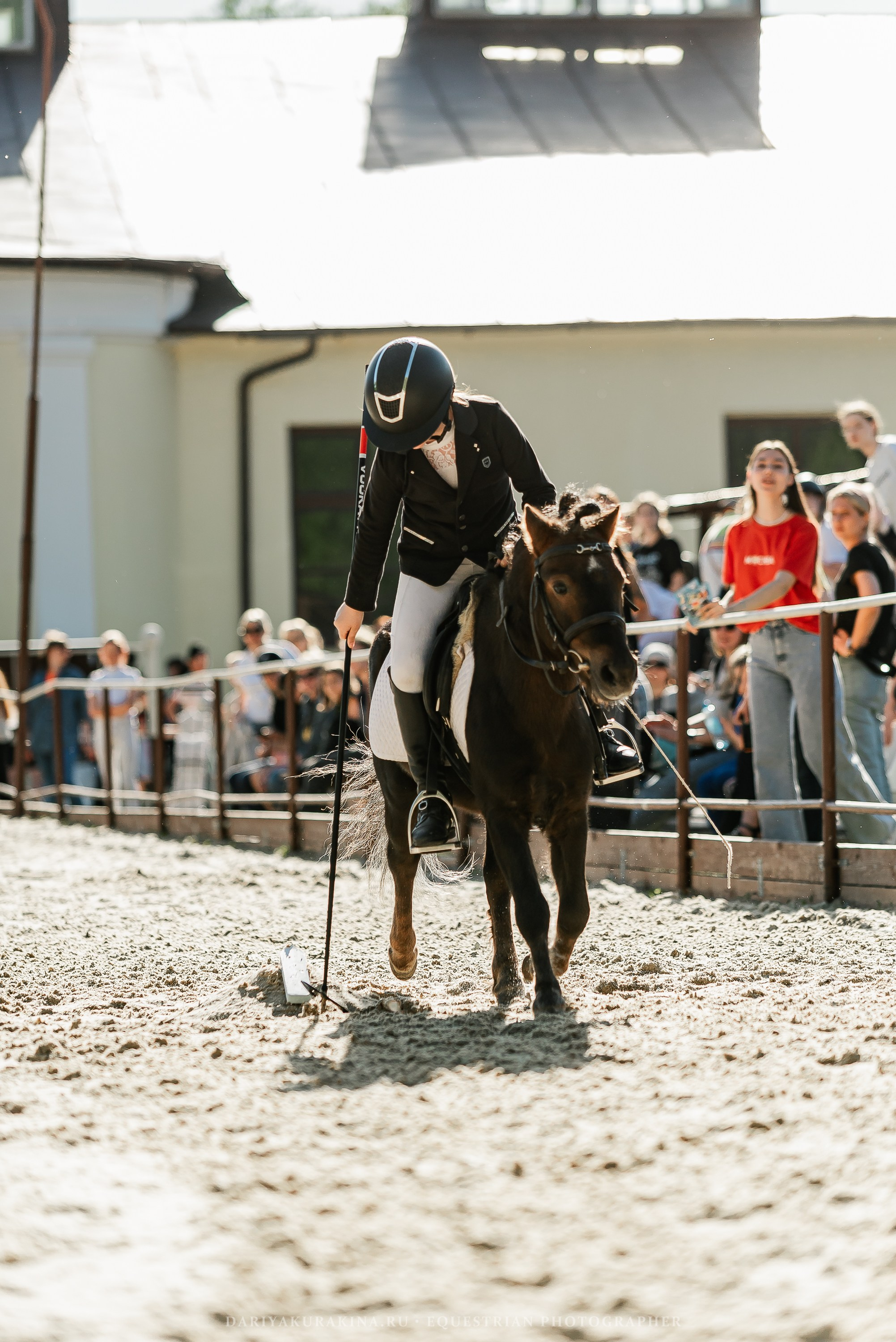 #ПОНИФОРУМ 2024. Конный фотограф Куракина Дарья • Фотосессии с лошадьми