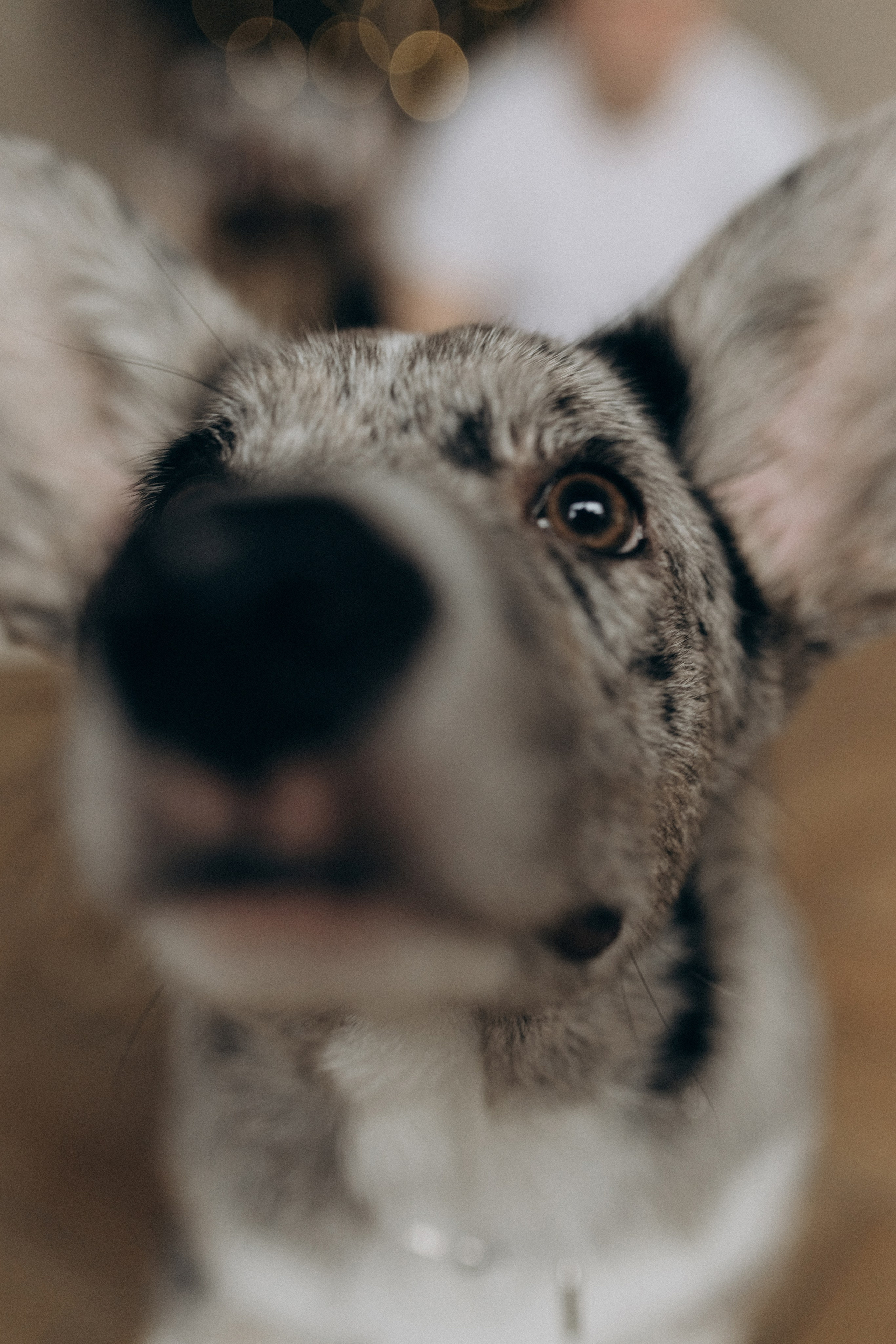 Фотосессия в WOOD