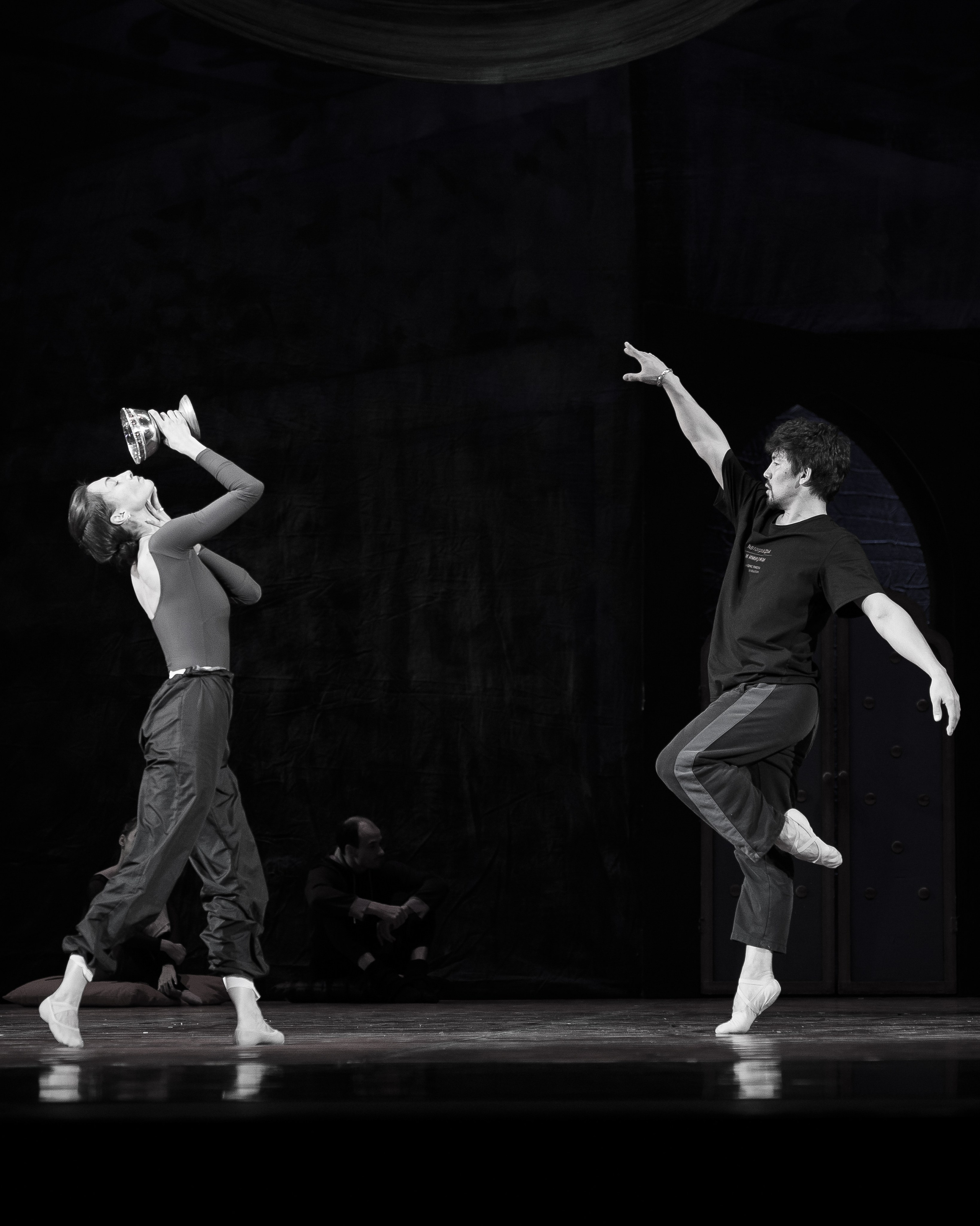 Автографы и имиджи Кремлёвский Дворец — Проект Андриса Лиепа