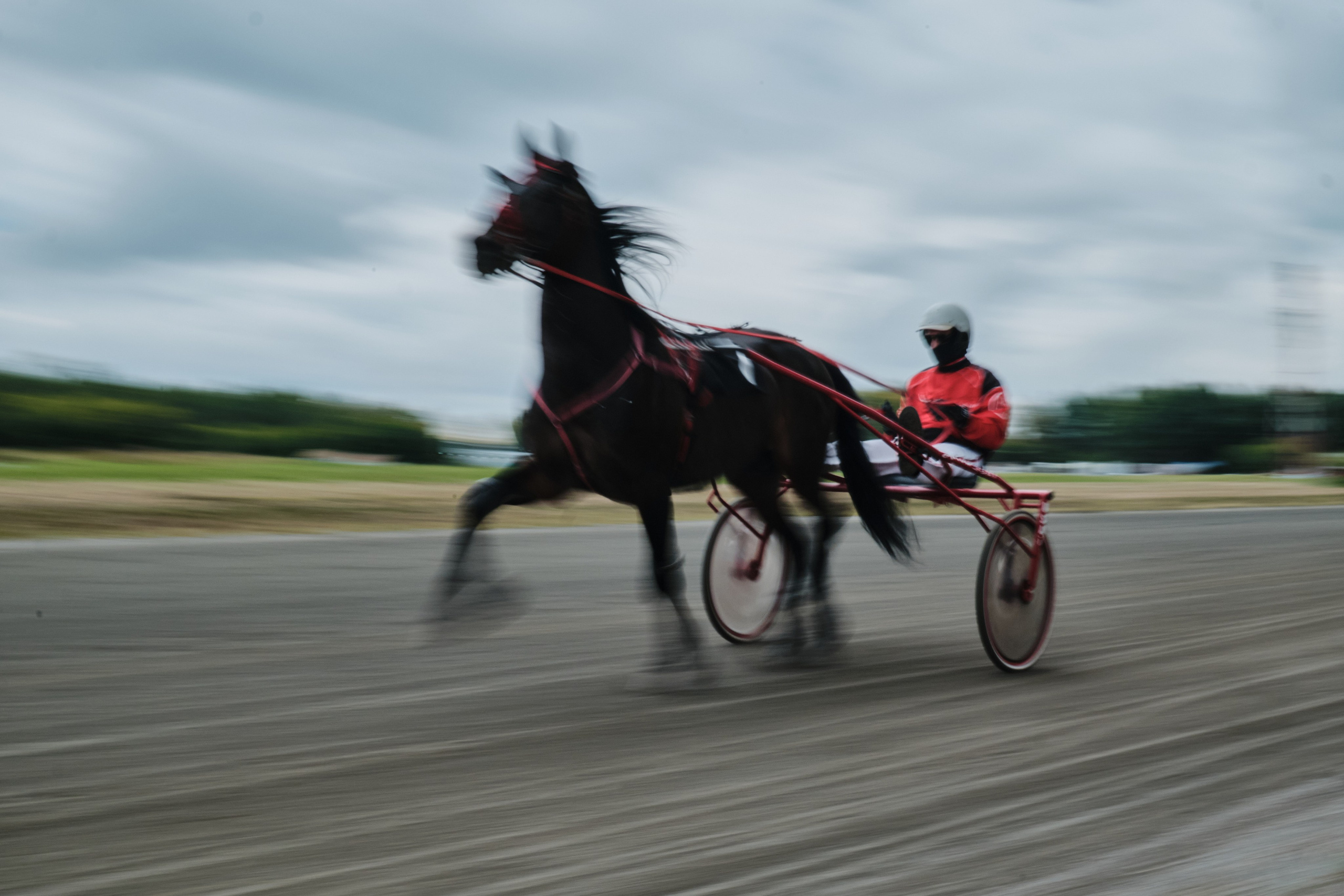 Ипподром. Goncharov Tim