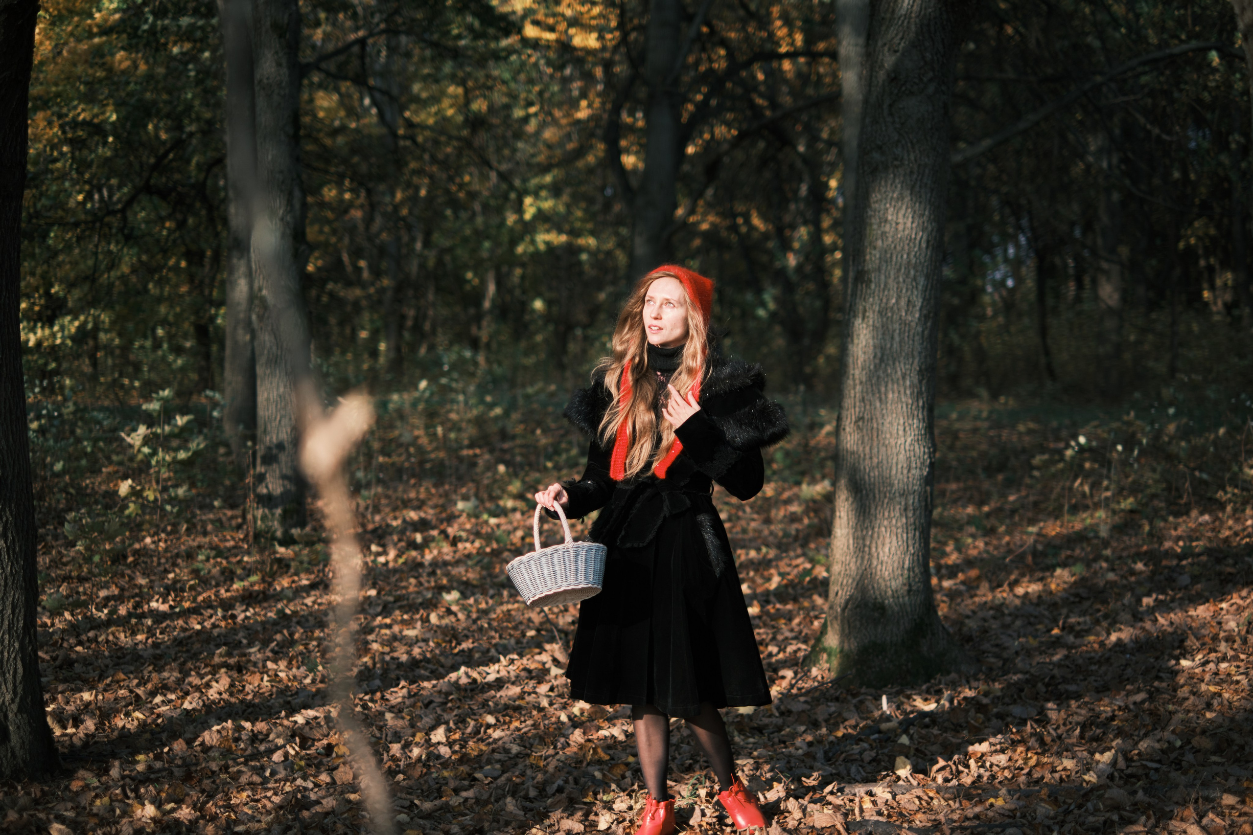 Красная Шапочка