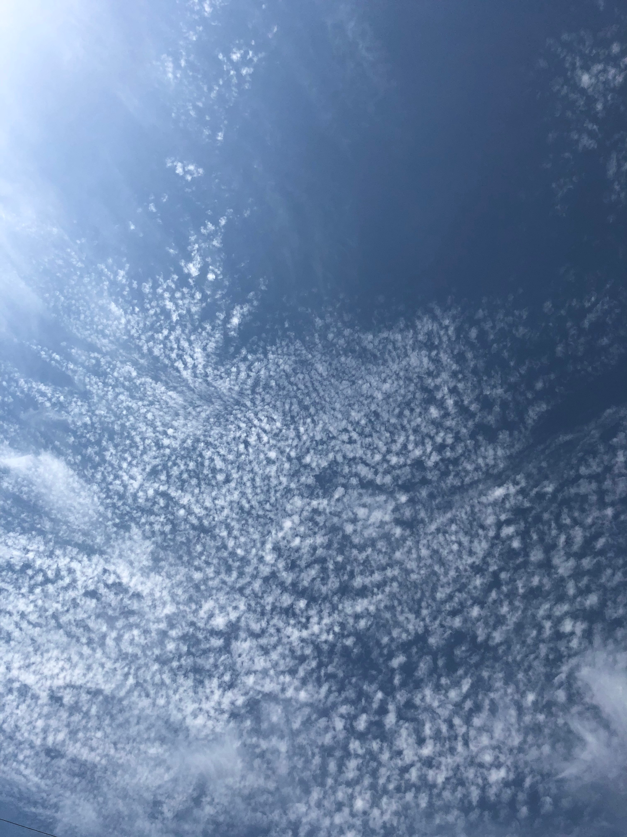 Визуальный дневник. Портретный фотограф в Москве Гахраманова Екатерина