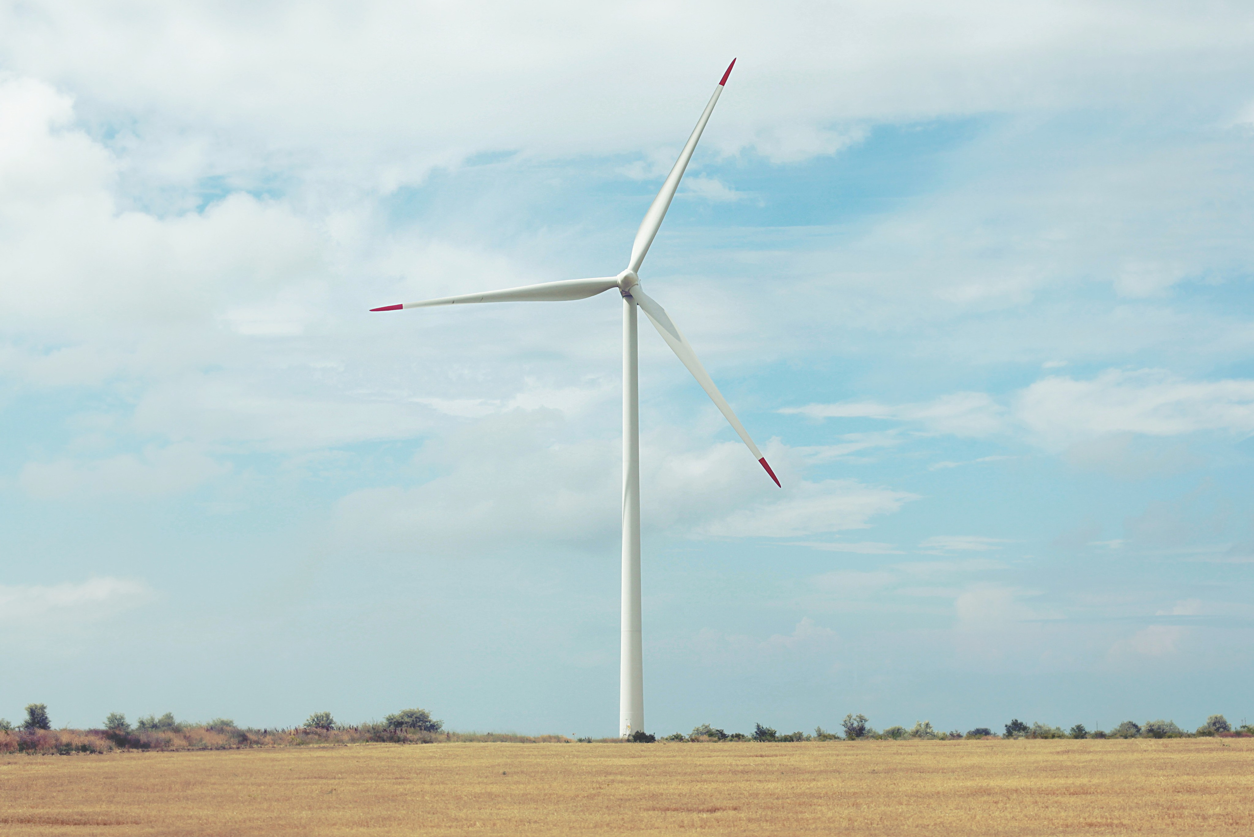 Болгария. Аня Степанова