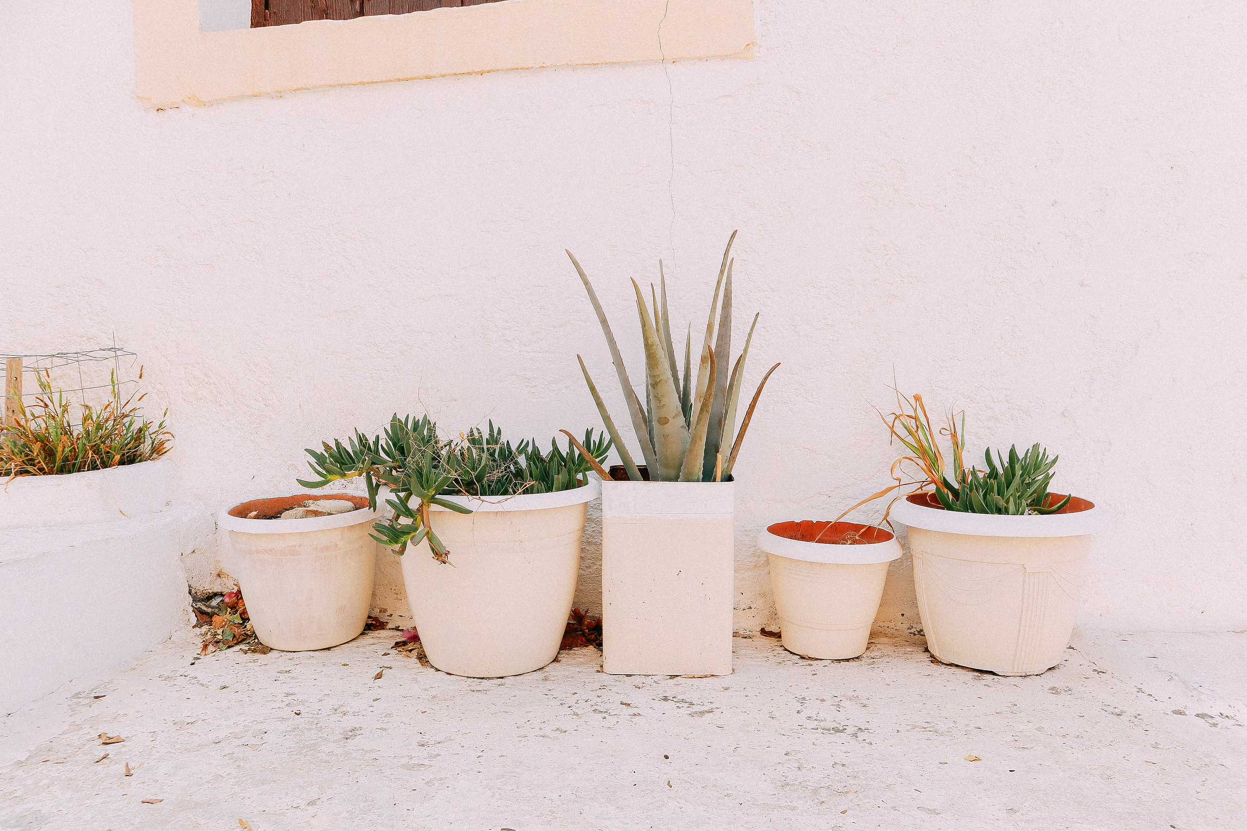 Крит. Аня Степанова