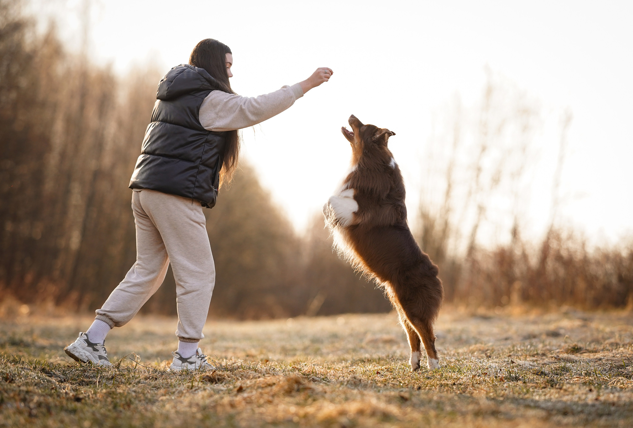 Кристина Рокки и Валькирия. Фотограф-анималист в Санкт-Петербурге Яна Мартынова