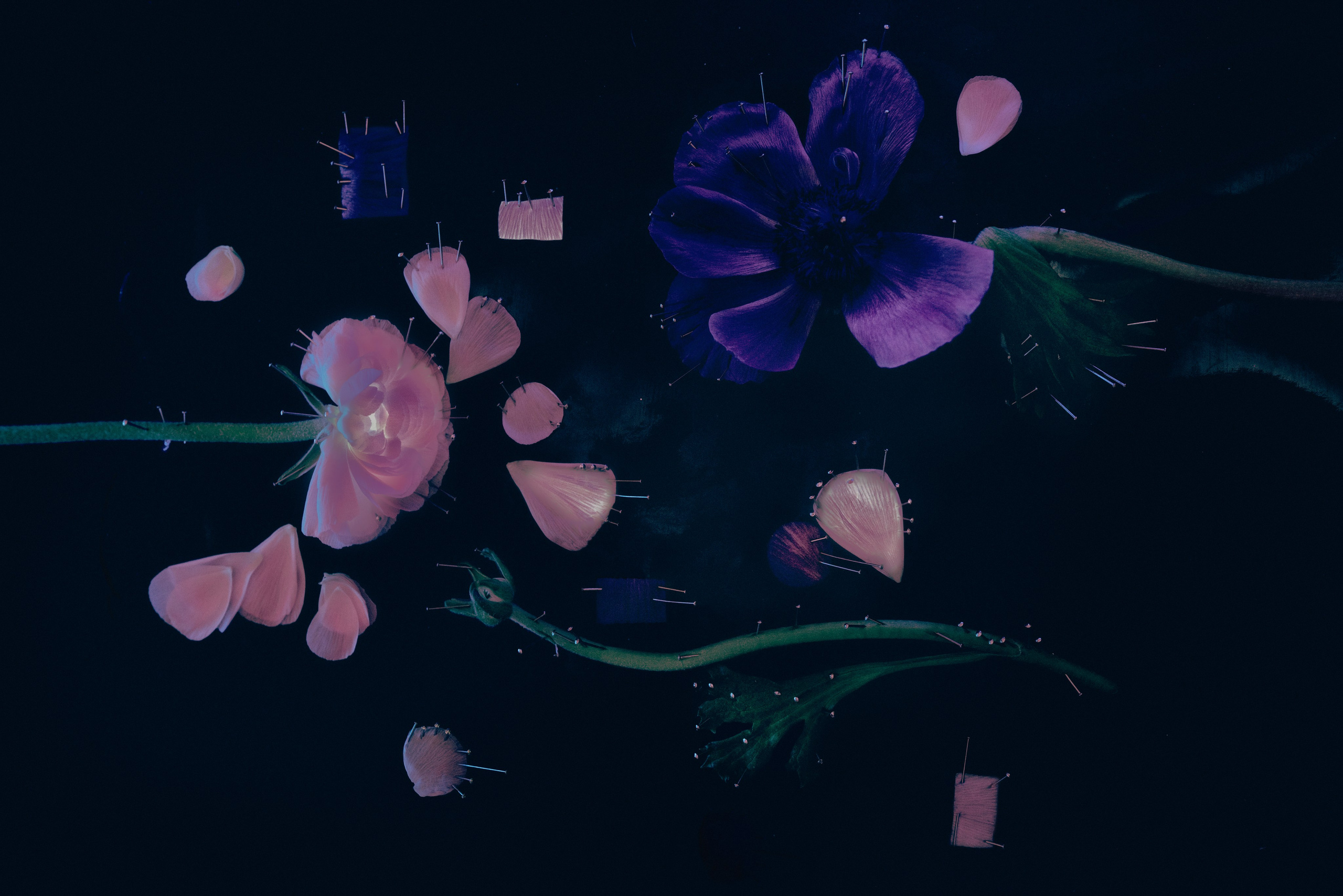 Тонкая белая полоска на воде. Художественная фотография в Санкт-Петербурге Алина Берёзкина