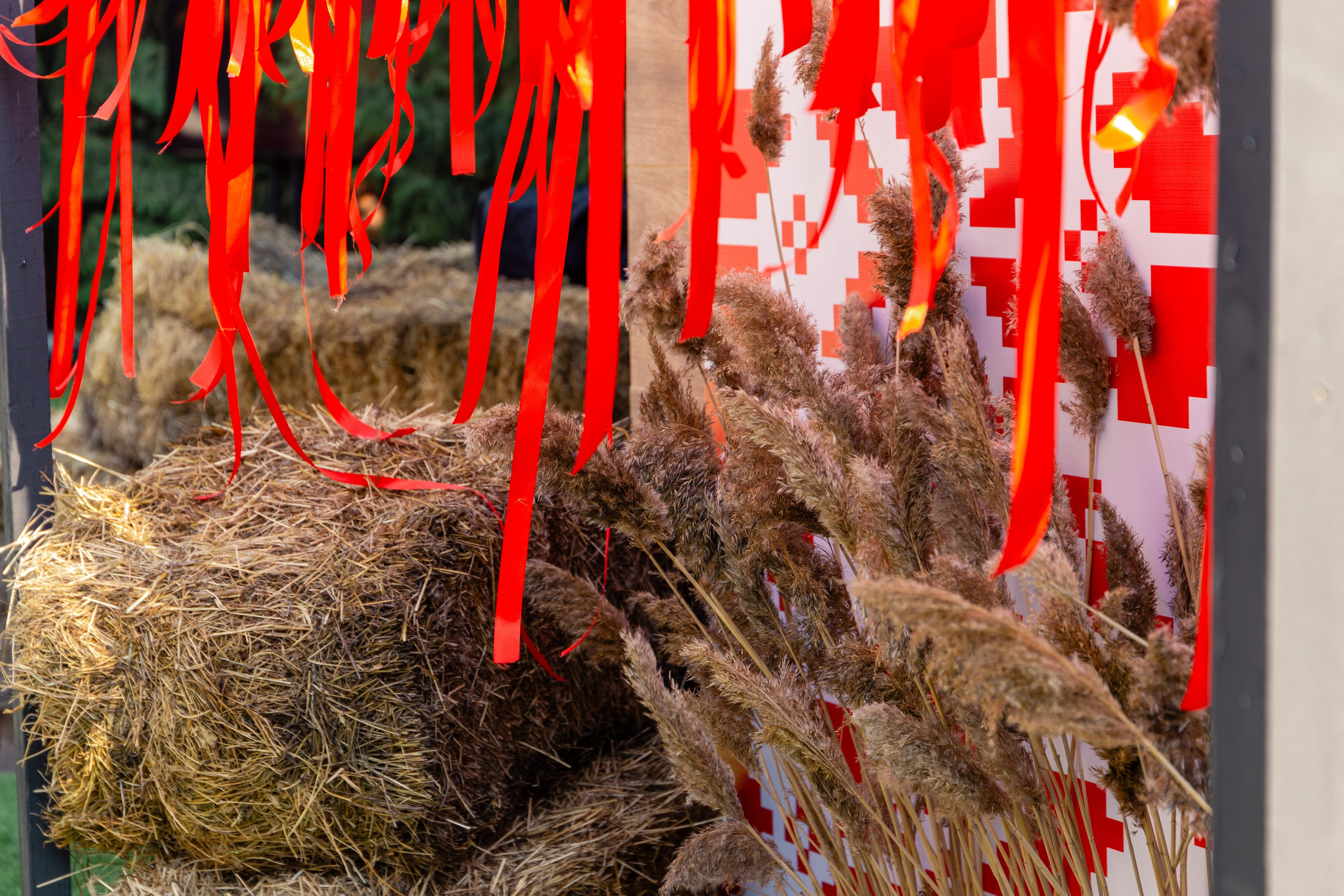 День рождения Юли Ворониной