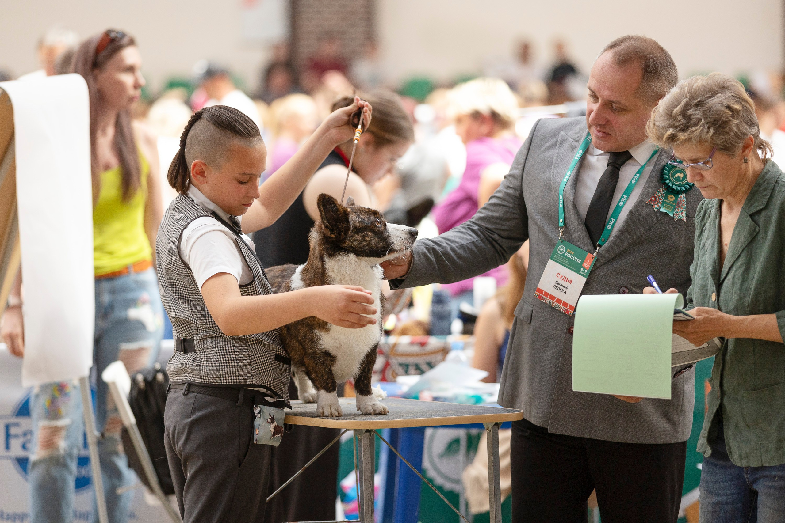 Россия 2024. Фотограф анималист, семейный фотограф, фотограф собак Комратова Мария. г. Москва