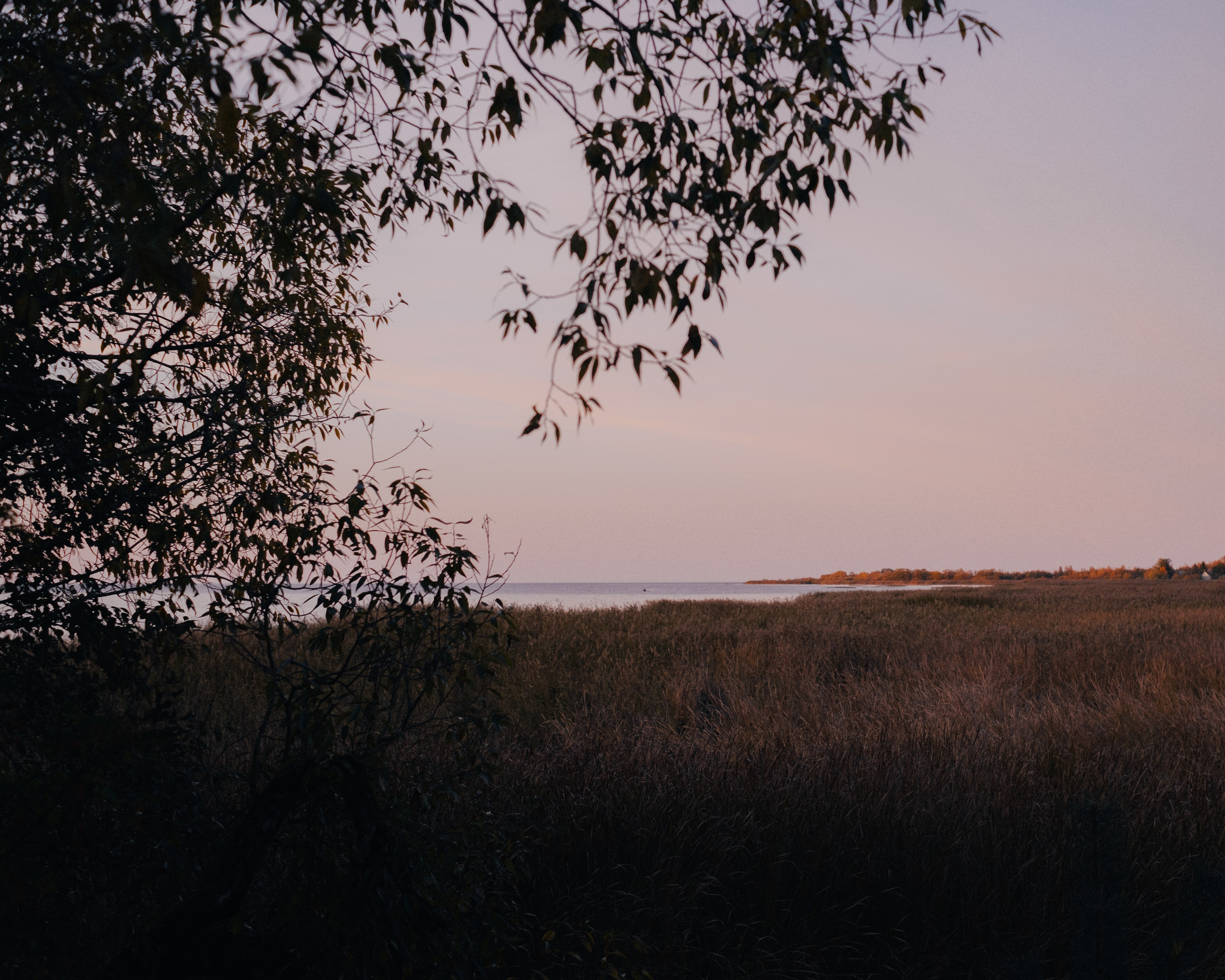 ДР на даче Арины | окт 2024