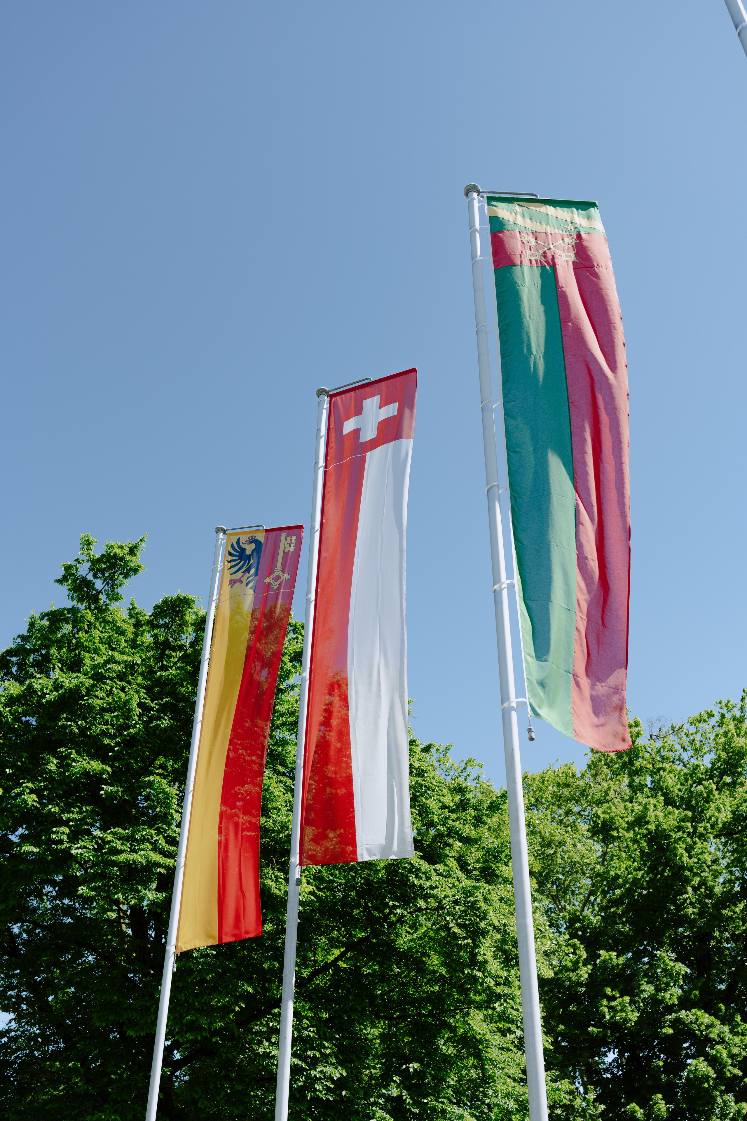 Joséphine & Frédéric | Lancy Mairie. Photographe de Mariage Professionnelle — Genève & Suisse Romande | Tanya Creator