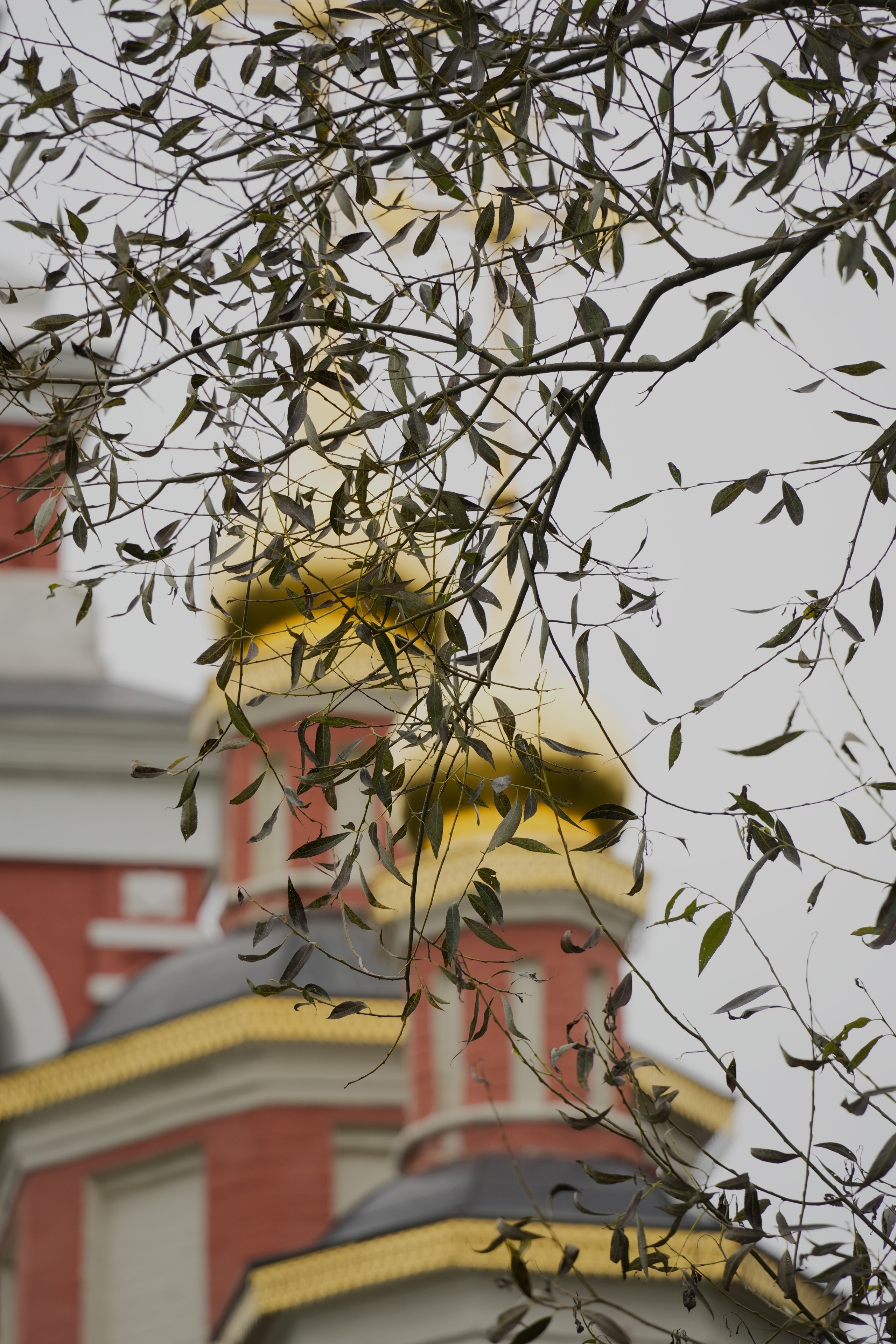 Чудо в деревне Варварино✨. Свет, камера, улыбка!