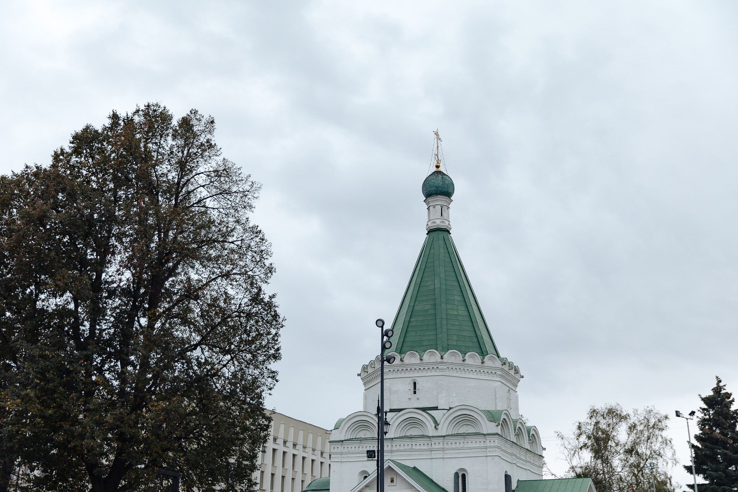 Отзывы. Свадебный и семейный фотограф Александр Беляков