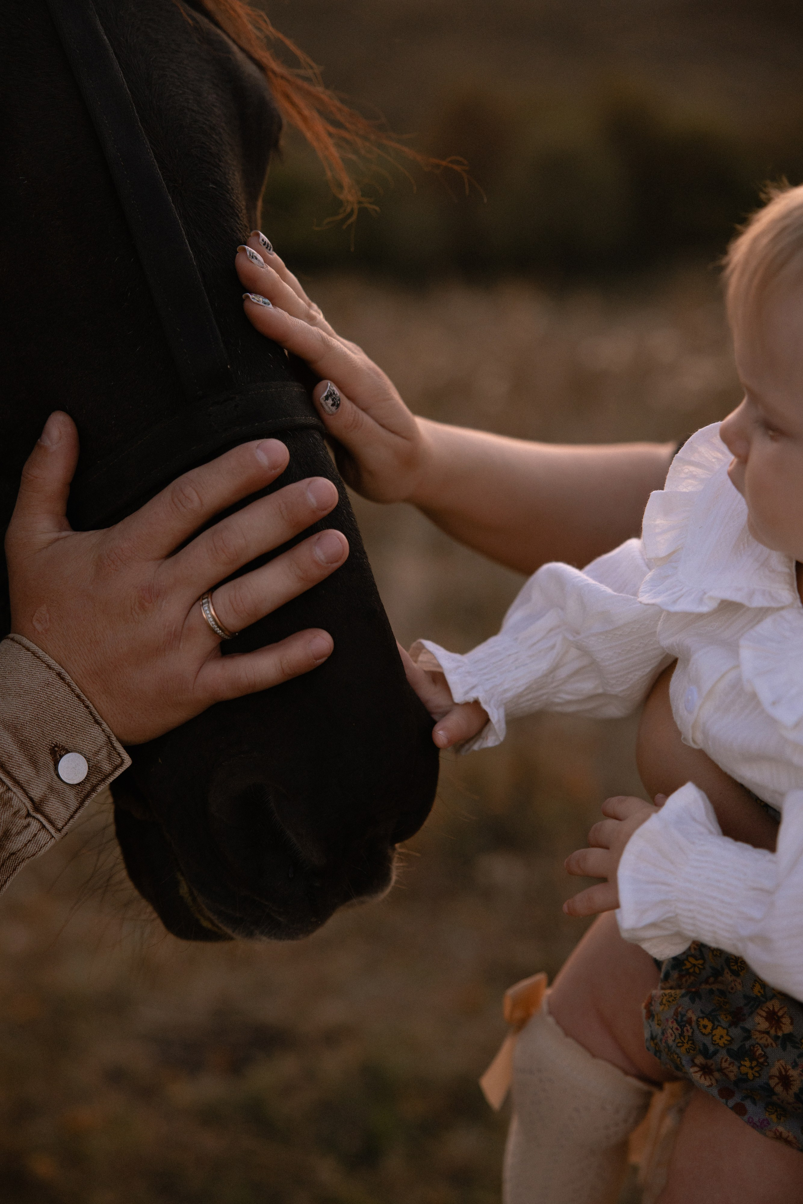 Лиля и семья. Семейный фотограф Губкин/Старый Оскол