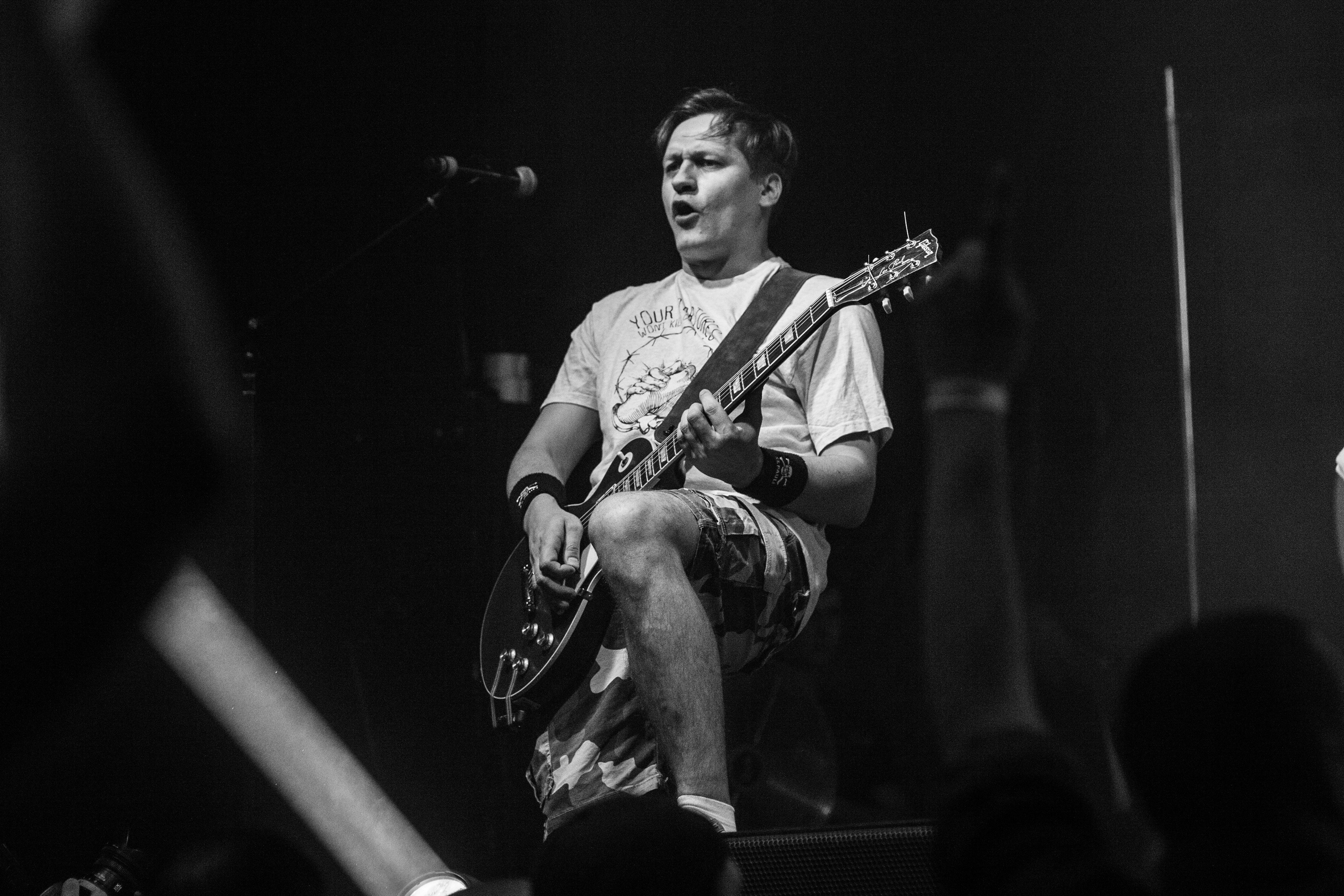 Distamper. Твой фотограф — Полосатый кот