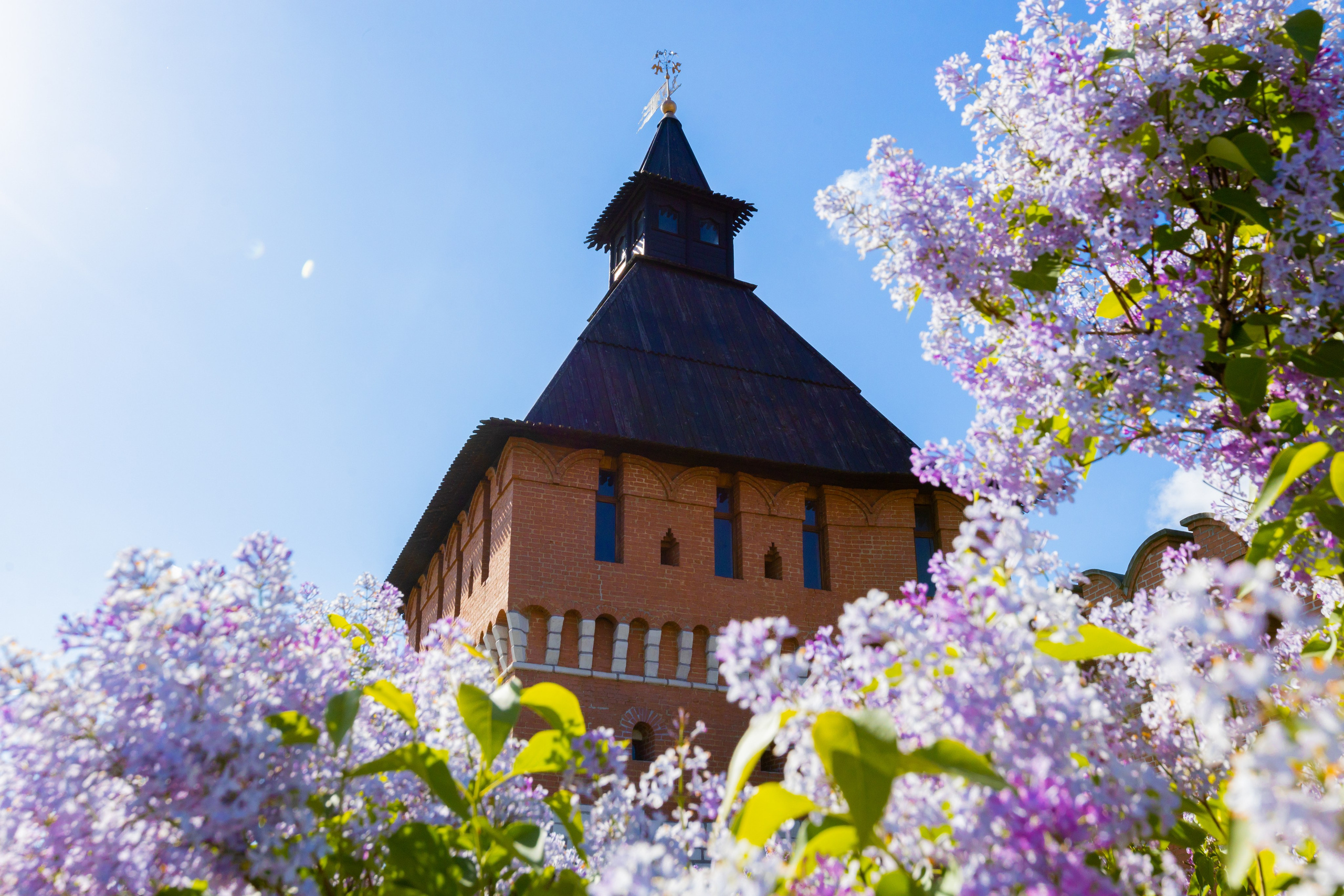 Весеннее цветение в Туле. Фотограф в Туле Крупский АнДРей. Фотостудия «КАДР71» в Туле