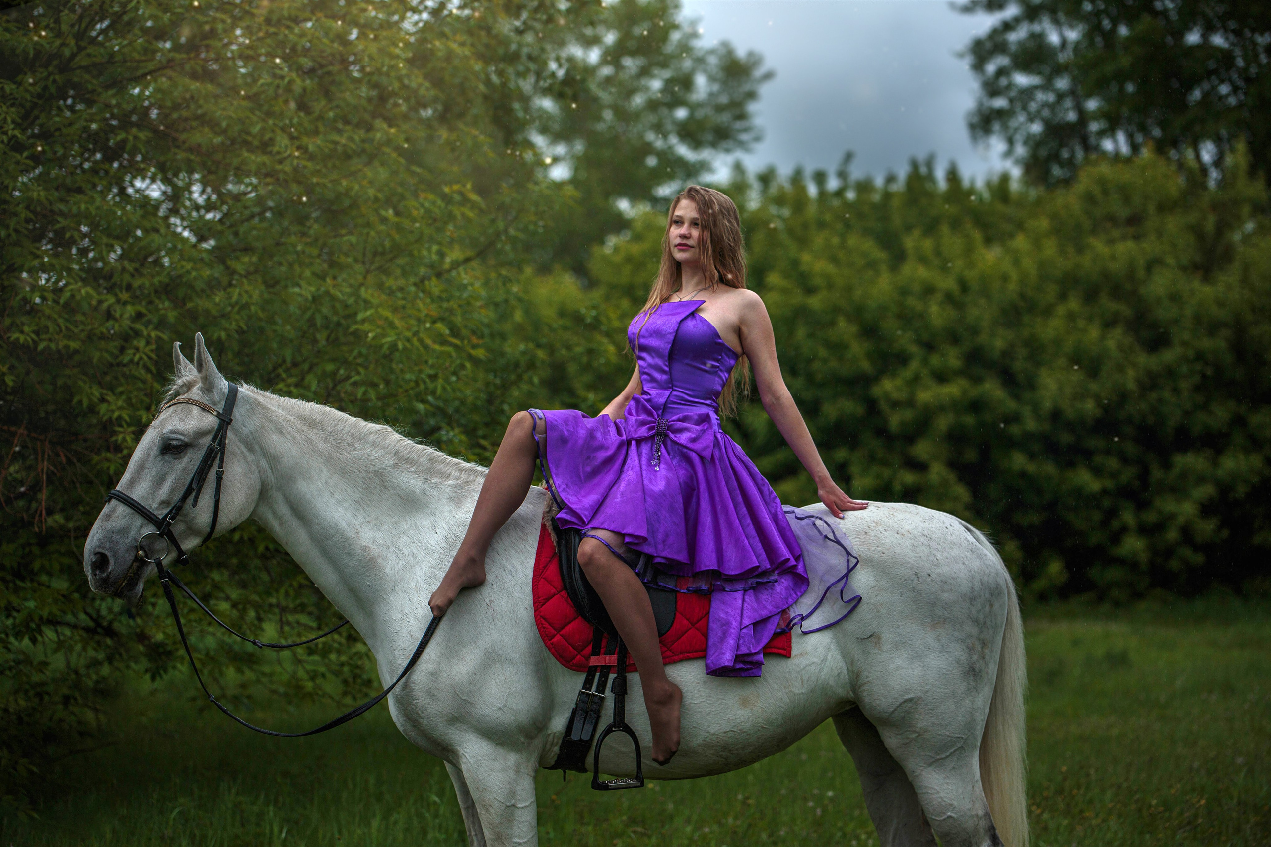 Красноярский ип-м. Конный фотограф в Красноярске — Любовь Похабова