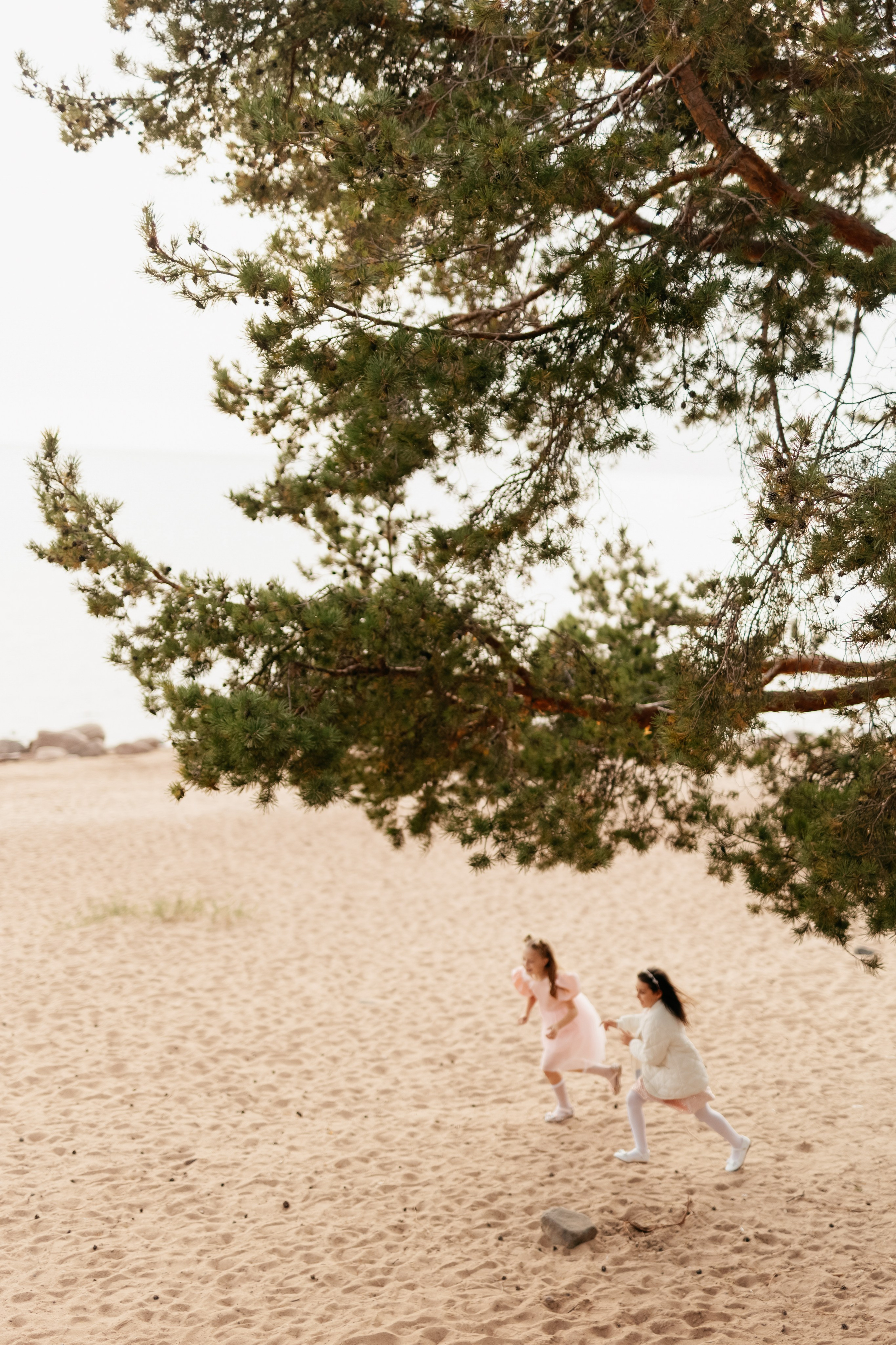 Дарья и Андрей. Фотограф в Москве Анастасия Курлович